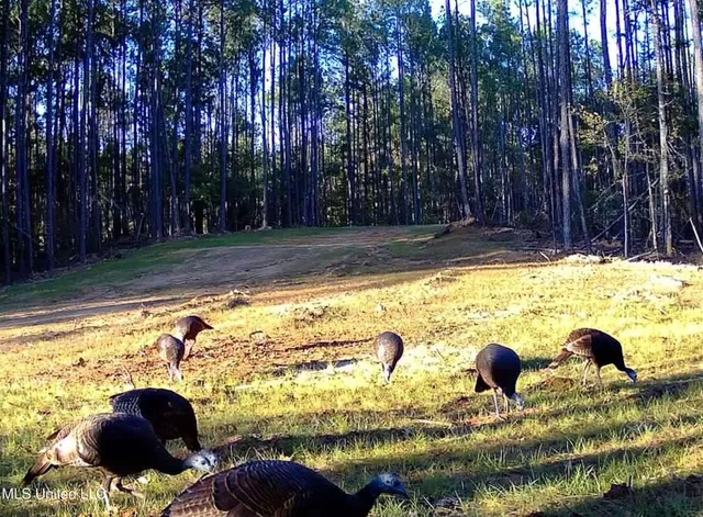 $2,044,775 | 222 Beaverdam Road, Camden, MS 39045