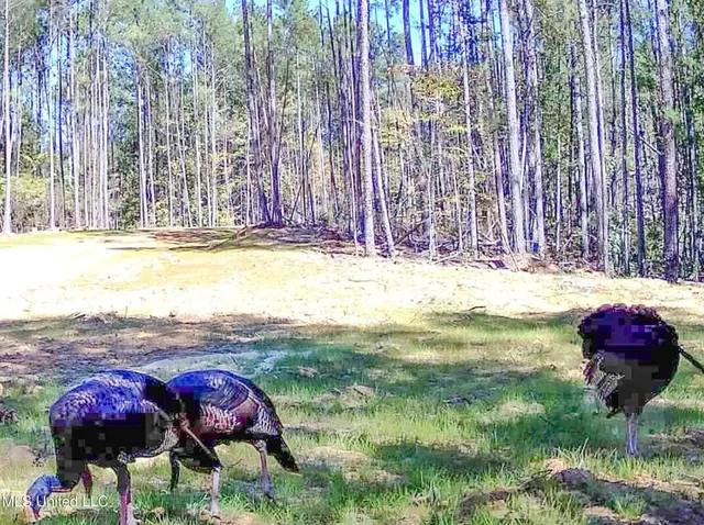 $2,044,775 | 222 Beaverdam Road, Camden, MS 39045