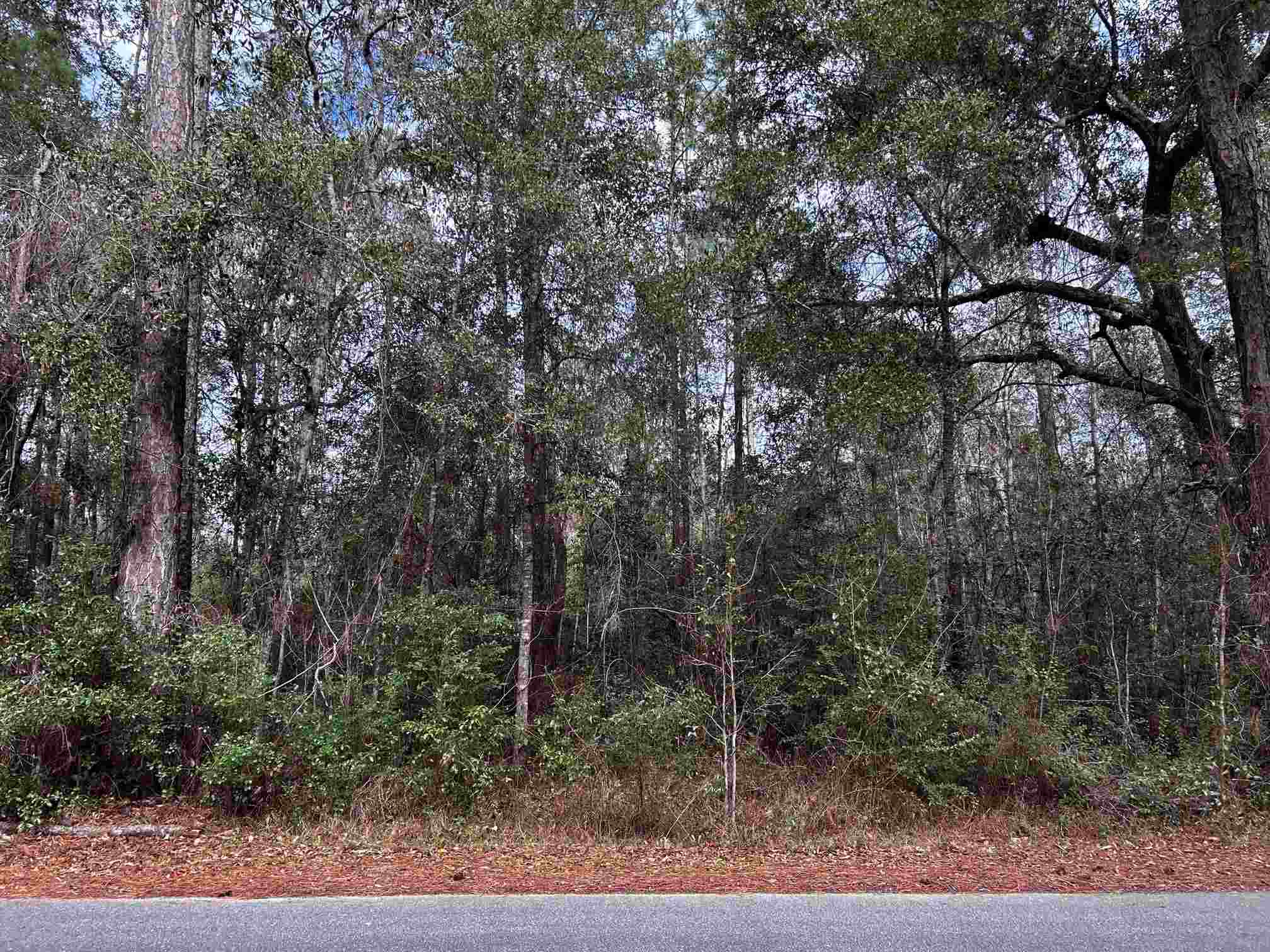 0 Old Tar Plant Road Milton, FL 32570 - Photo 3 of 7