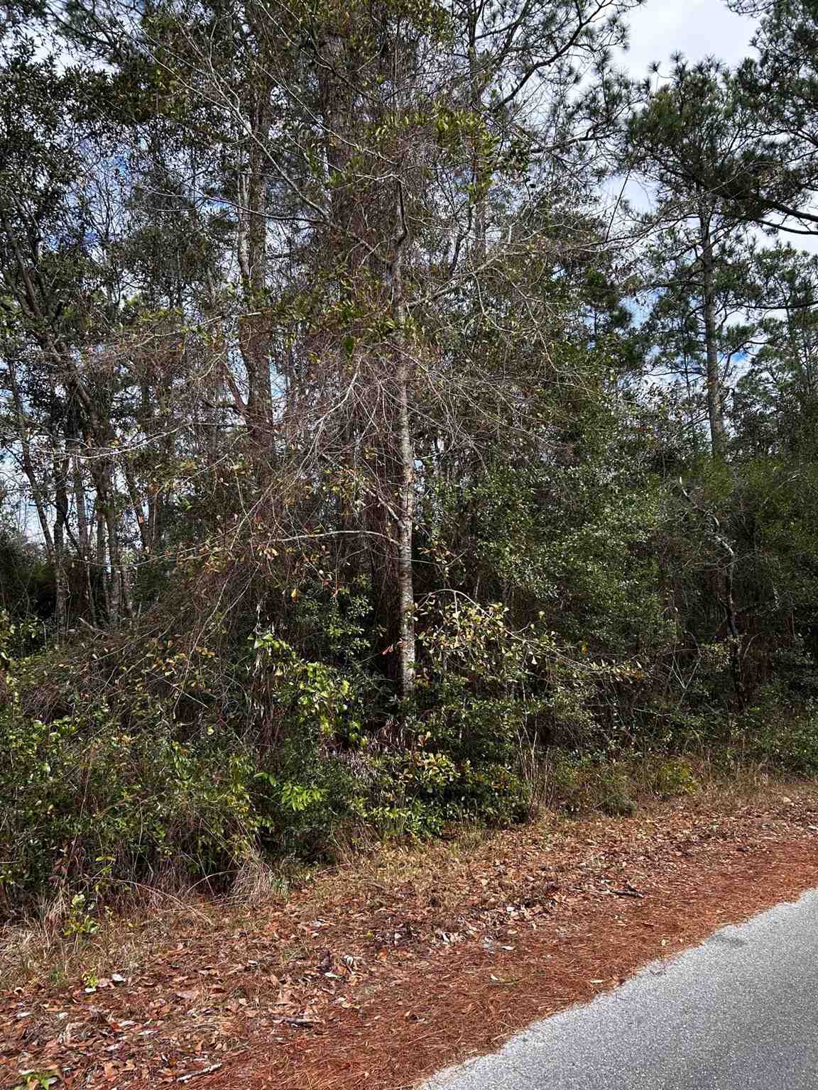 0 Old Tar Plant Road Milton, FL 32570 - Photo 6 of 7