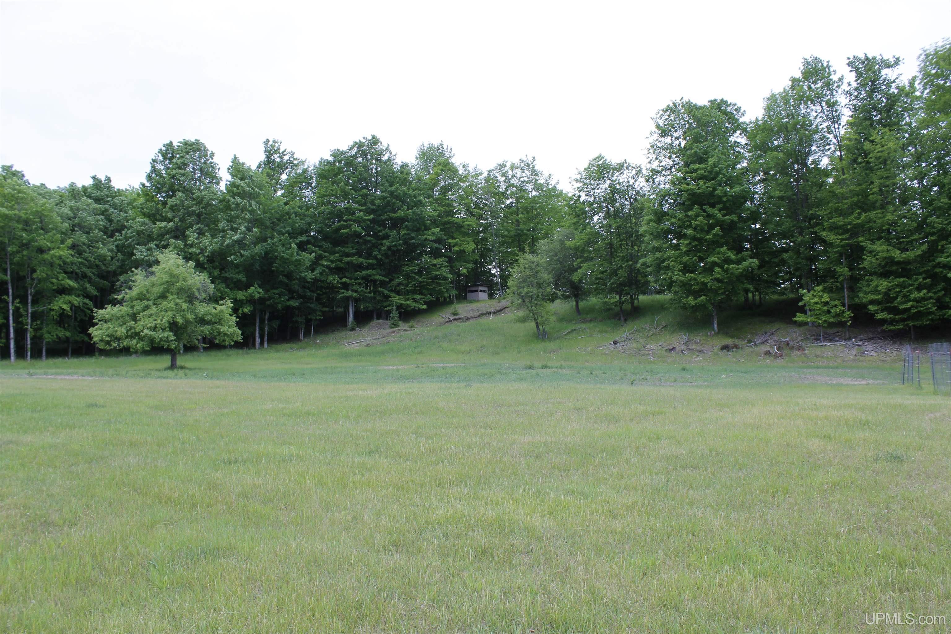 W2588 31 Lane Daggett, MI 49821 - Photo 30 of 58