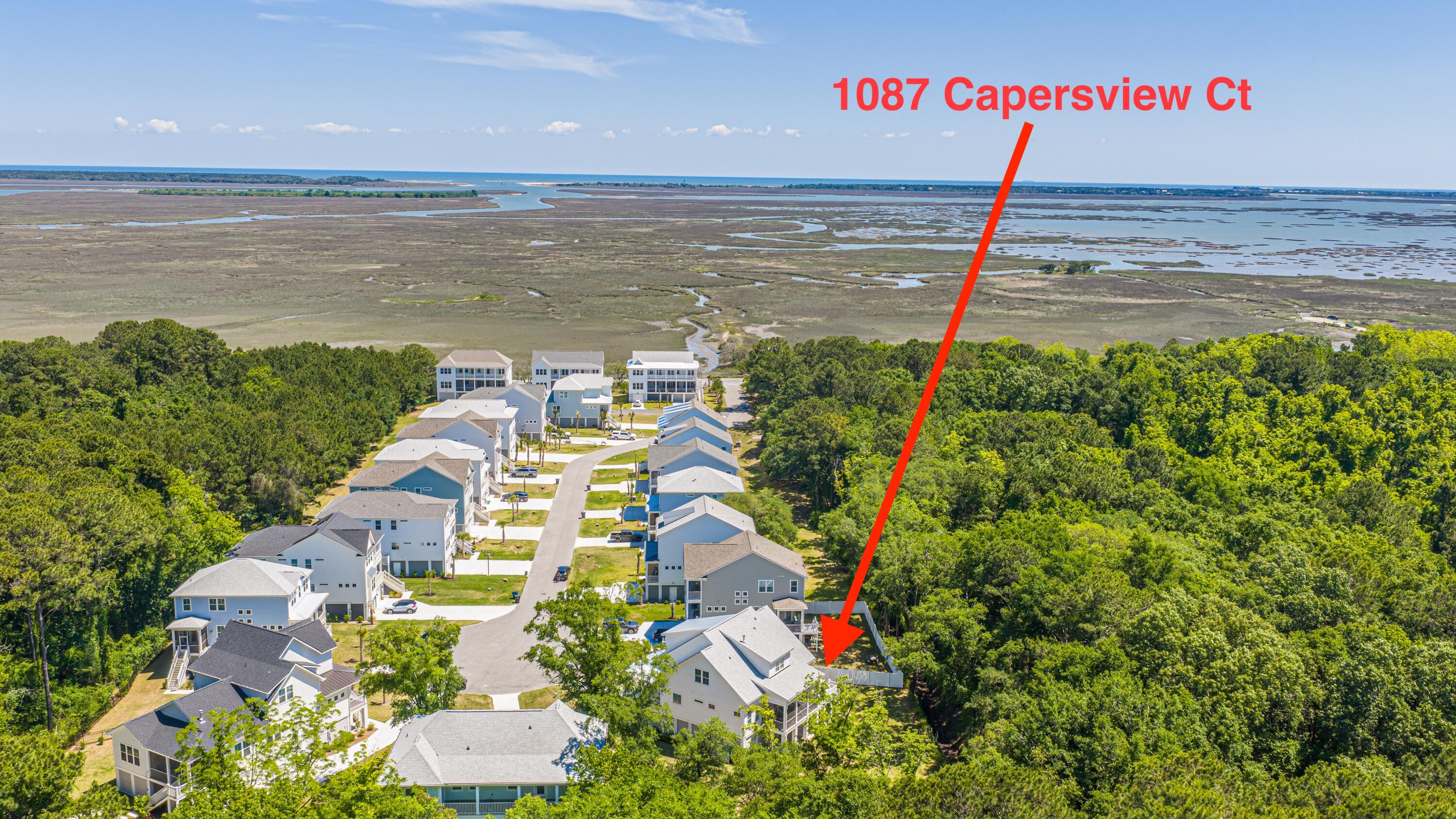 1087 Capersview Court Awendaw, SC 29429 - Photo 2 of 80 1087CapersviewCt096