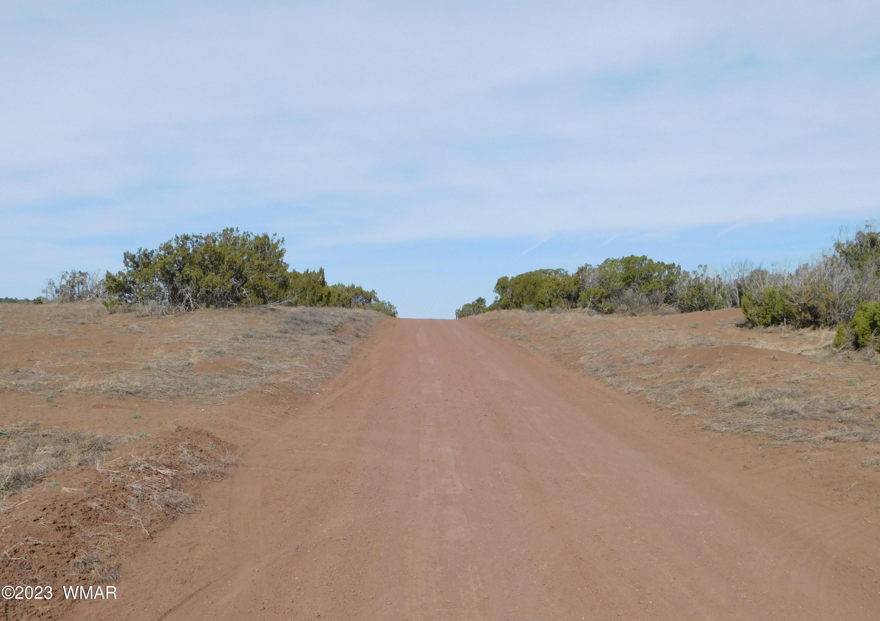 Lot 391 Wickieup (co Road Concho, AZ 85924 - Photo 11 of 11