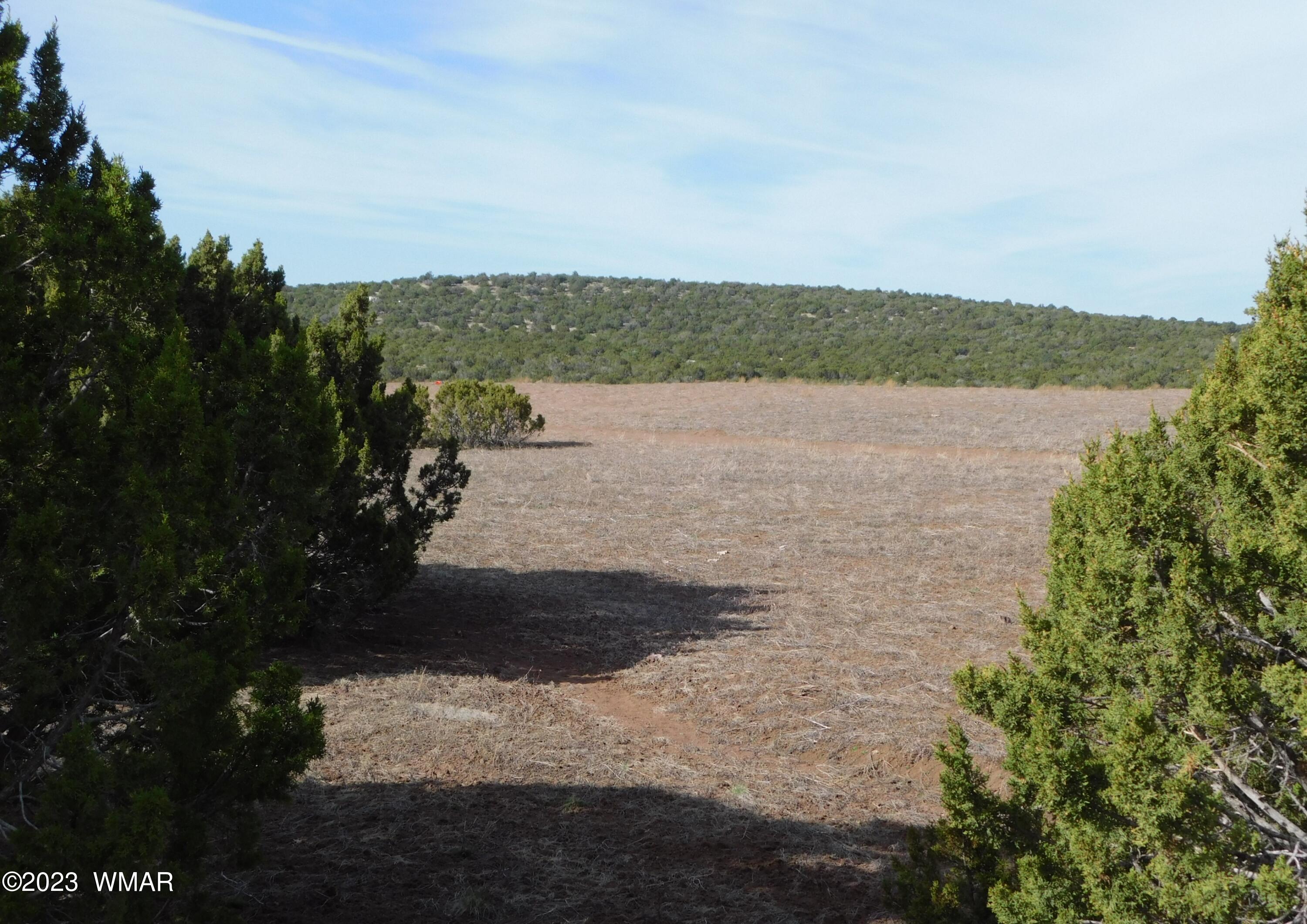 Lot 391 Wickieup (co Road Concho, AZ 85924 - Photo 2 of 11