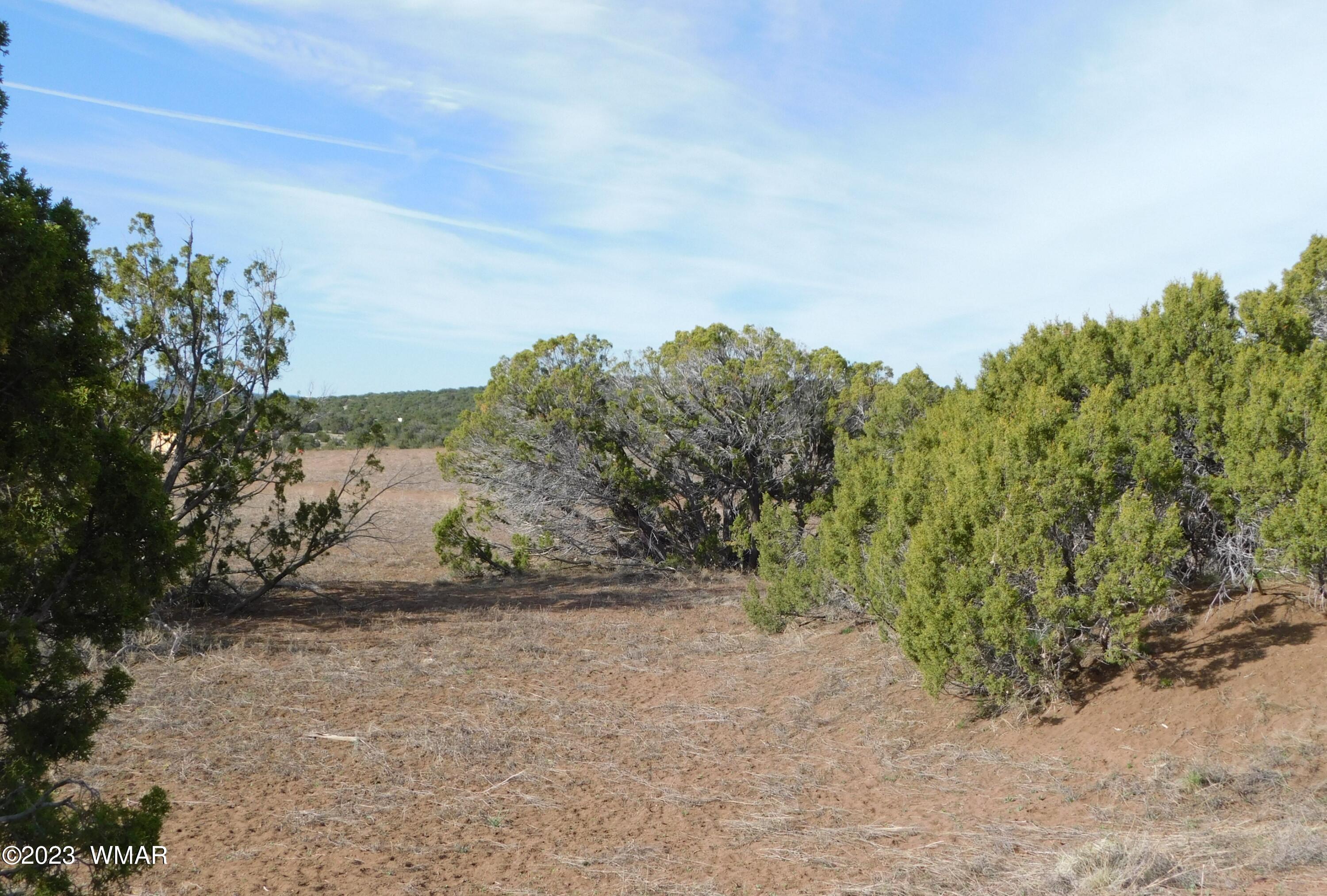 Lot 391 Wickieup (co Road Concho, AZ 85924 - Photo 3 of 11