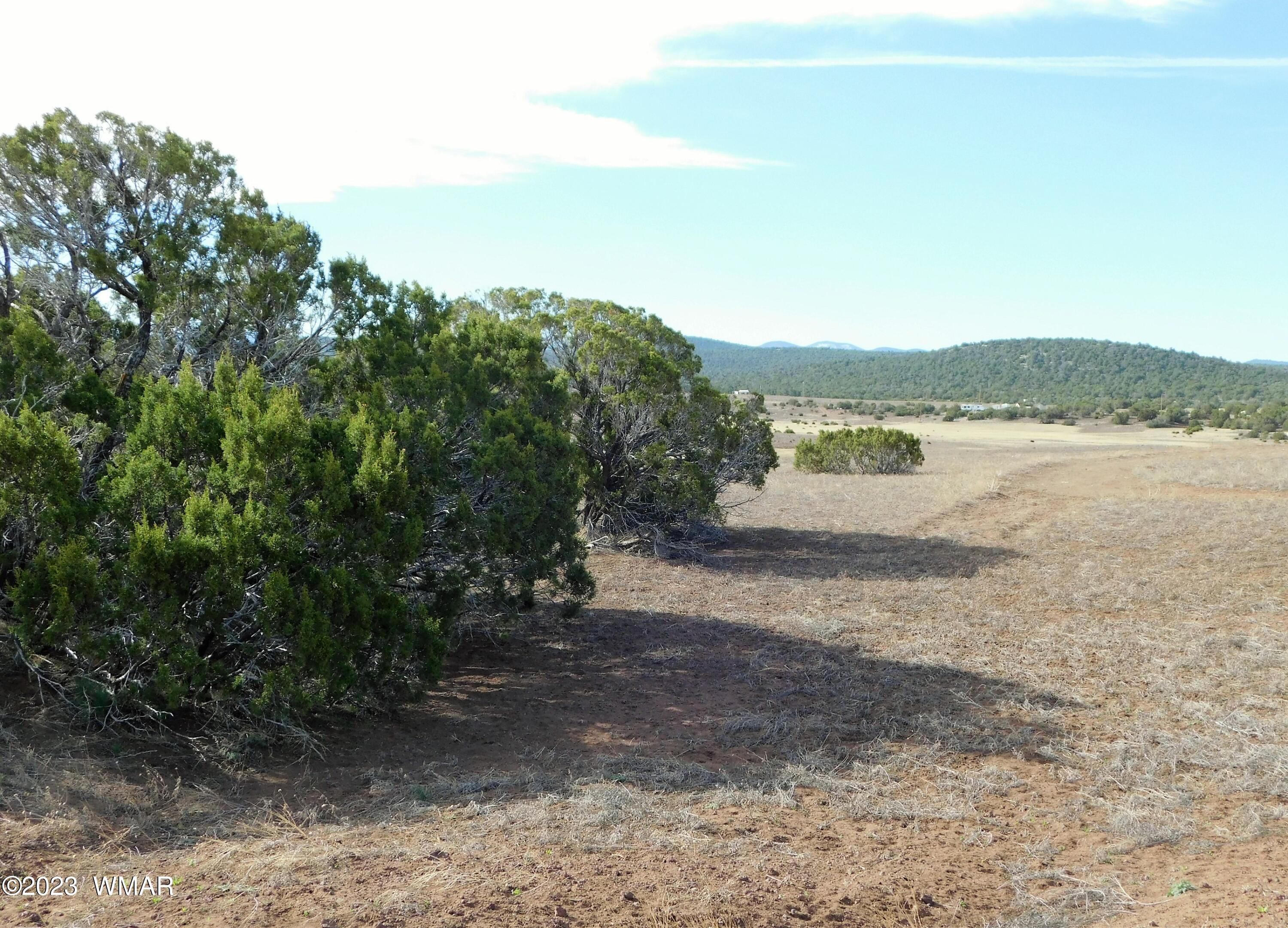 Lot 391 Wickieup (co Road Concho, AZ 85924 - Photo 4 of 11