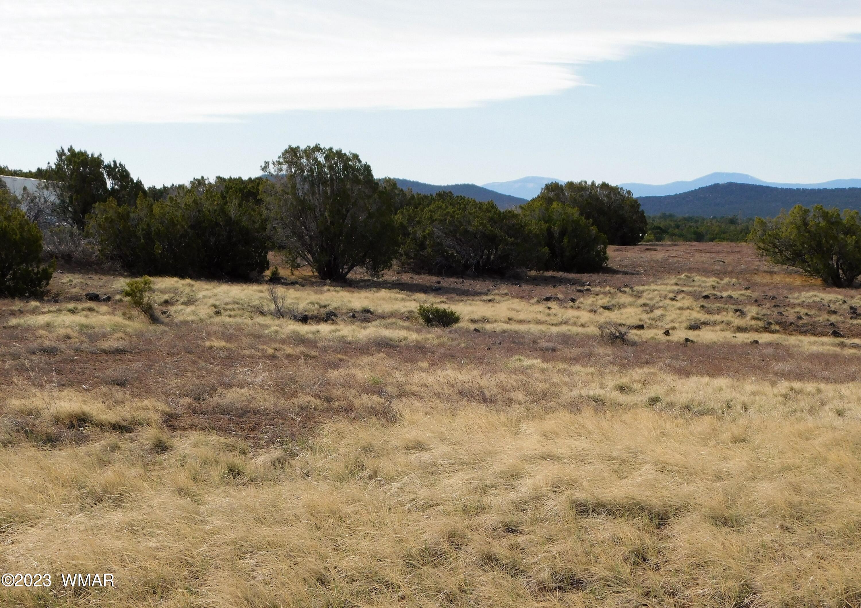Lot 391 Wickieup (co Road Concho, AZ 85924 - Photo 5 of 11