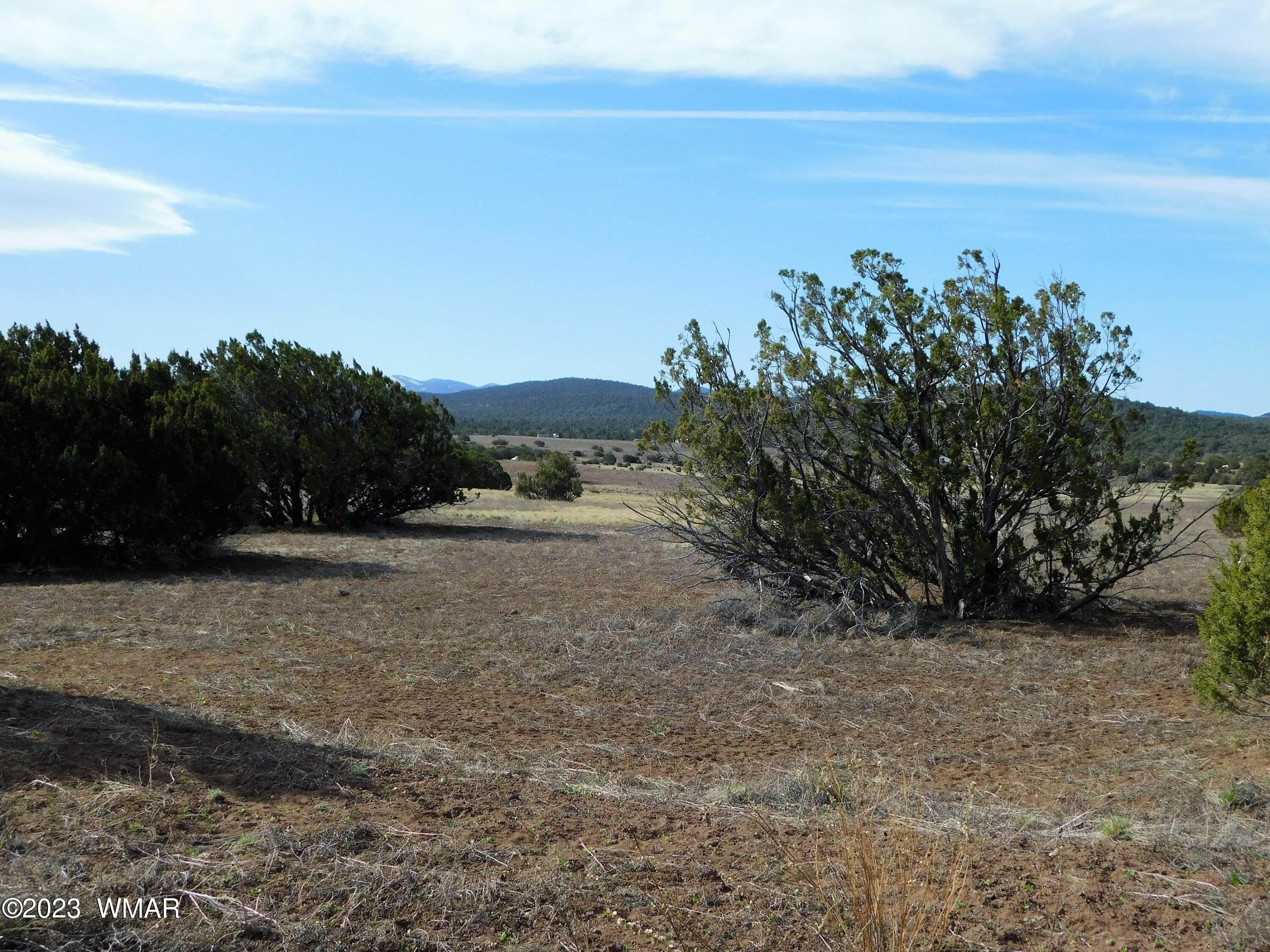Lot 391 Wickieup (co Road Concho, AZ 85924 - Photo 7 of 11