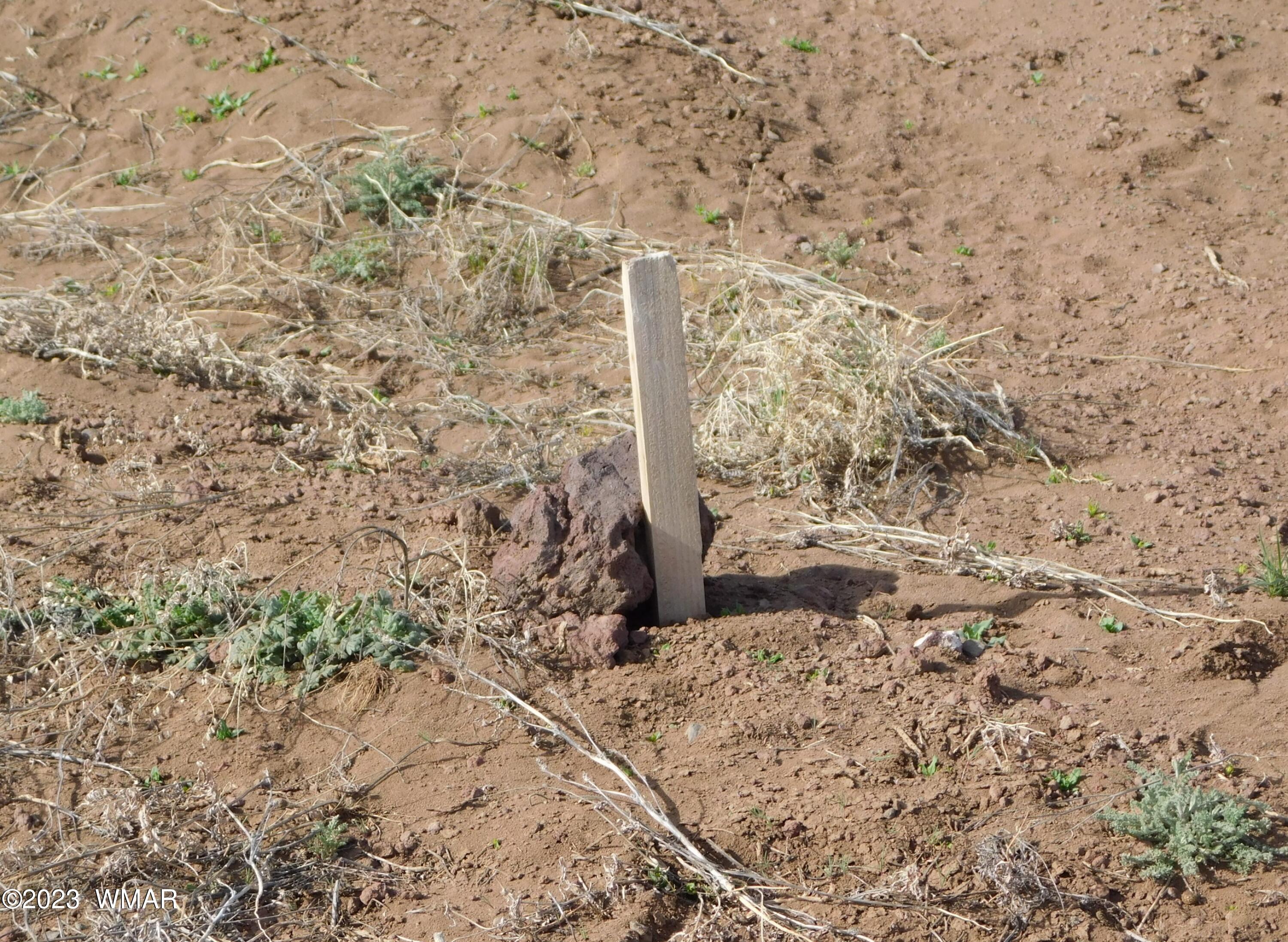 Lot 391 Wickieup (co Road Concho, AZ 85924 - Photo 9 of 11