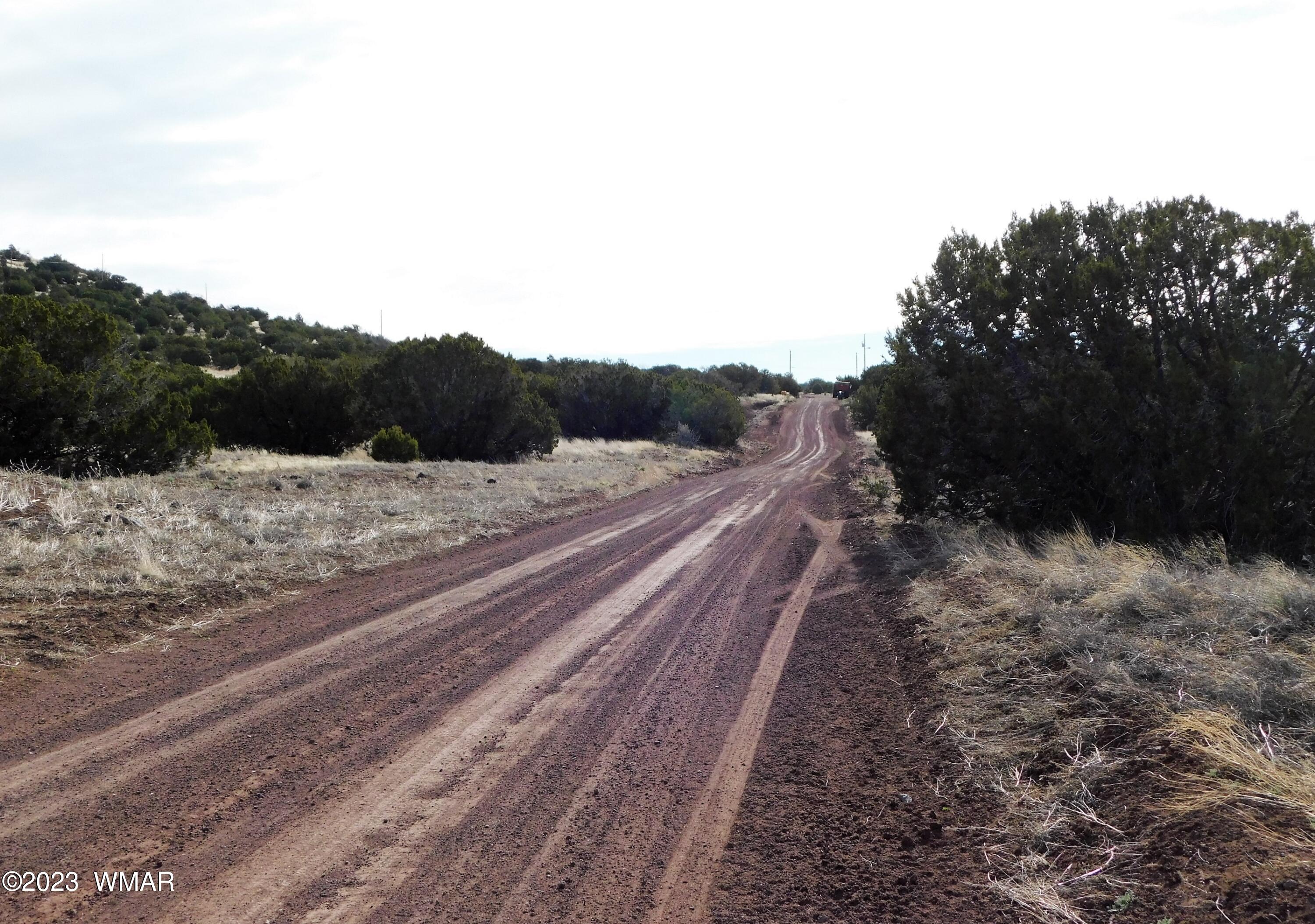 Lot 391 Wickieup (co Road Concho, AZ 85924 - Photo 10 of 11