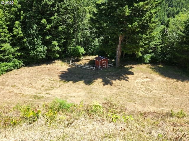 1578 Scholfield Road Reedsport, OR 97467 - Photo 26 of 37 a view of yard with trees
