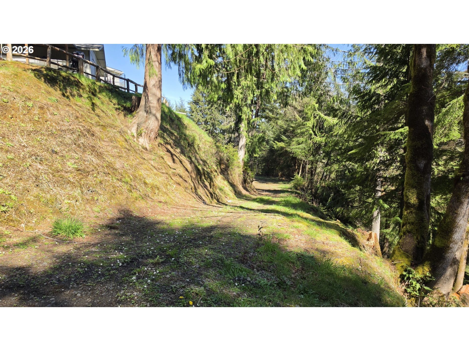 1578 Scholfield Road Reedsport, OR 97467 - Photo 44 of 44 a view of a yard