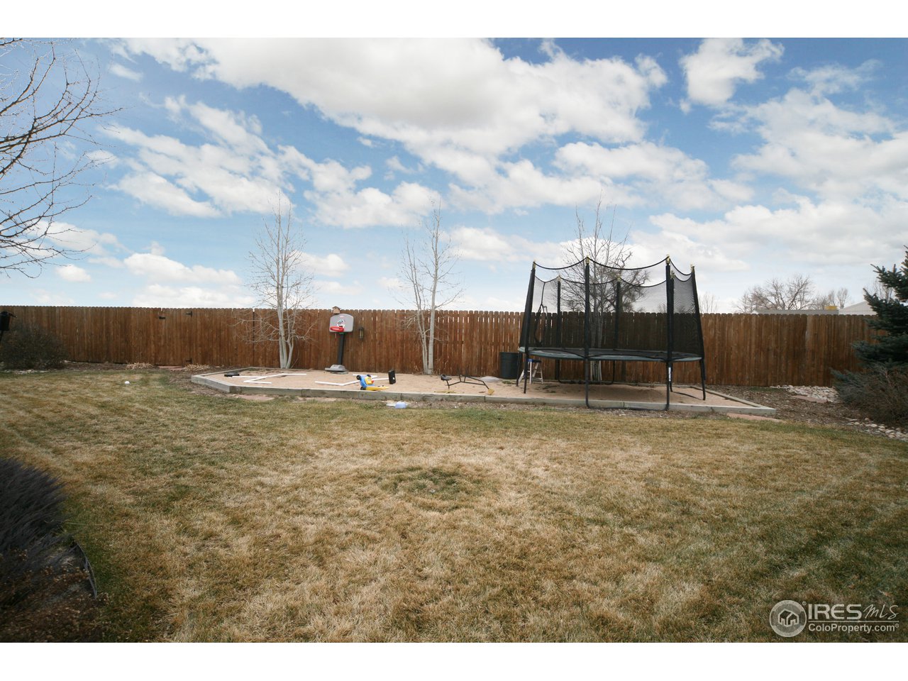 2603 Paddington Road Fort Collins, CO 80525 - Photo 17 of 17 Gallery Image 17