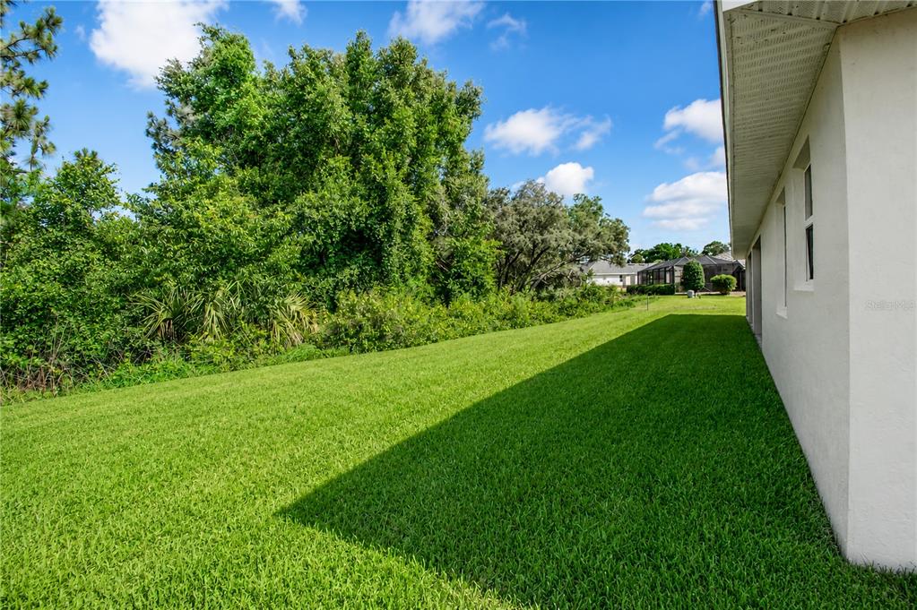 6788 Southwest 179th Ave Road Dunnellon, FL 34432 - Photo 48 of 51