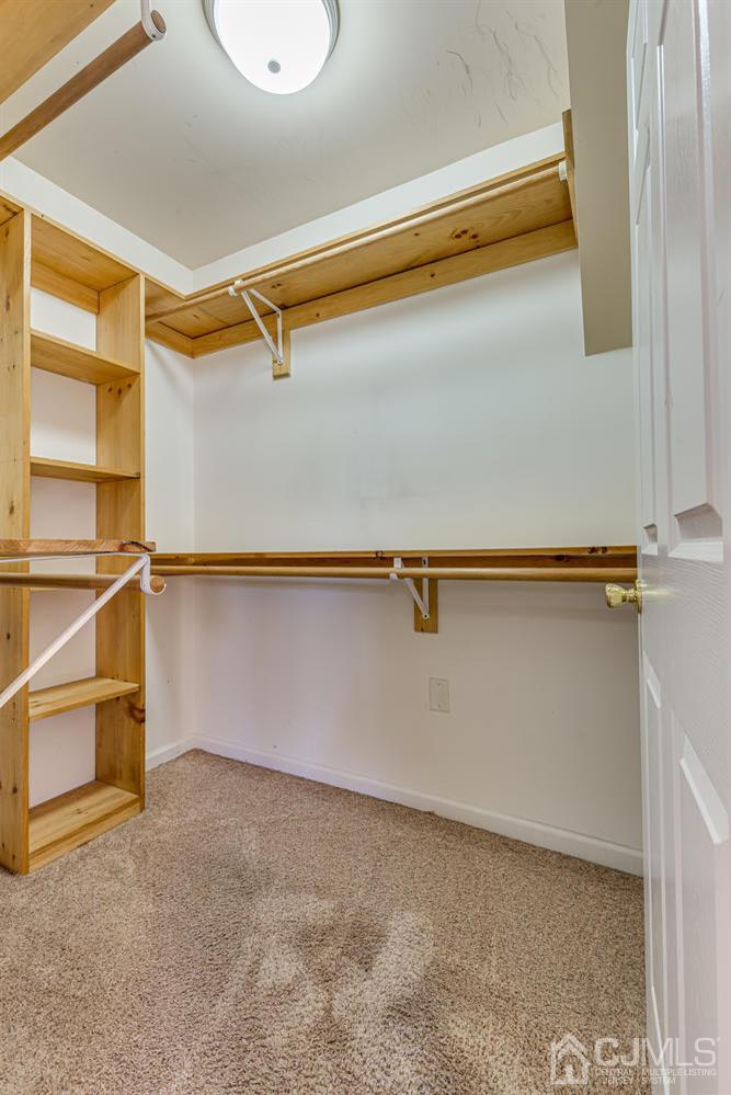 799 New Dover Road Edison, NJ 08820 - Photo 34 of 54 a close view of closet