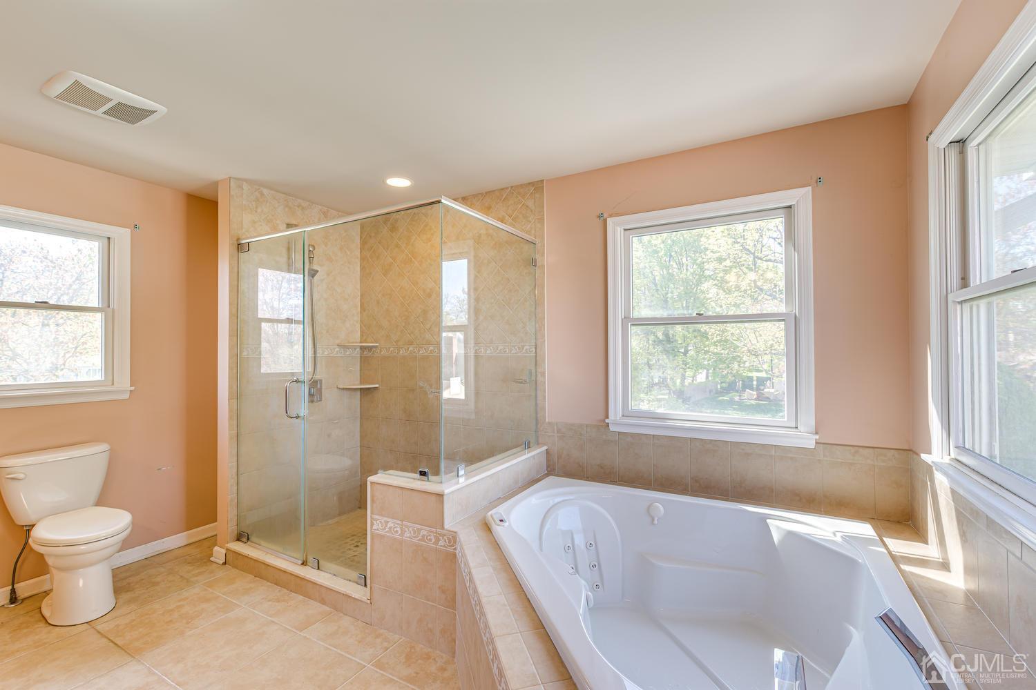 799 New Dover Road Edison, NJ 08820 - Photo 35 of 54 a spacious bathroom with a bathtub toilet and shower