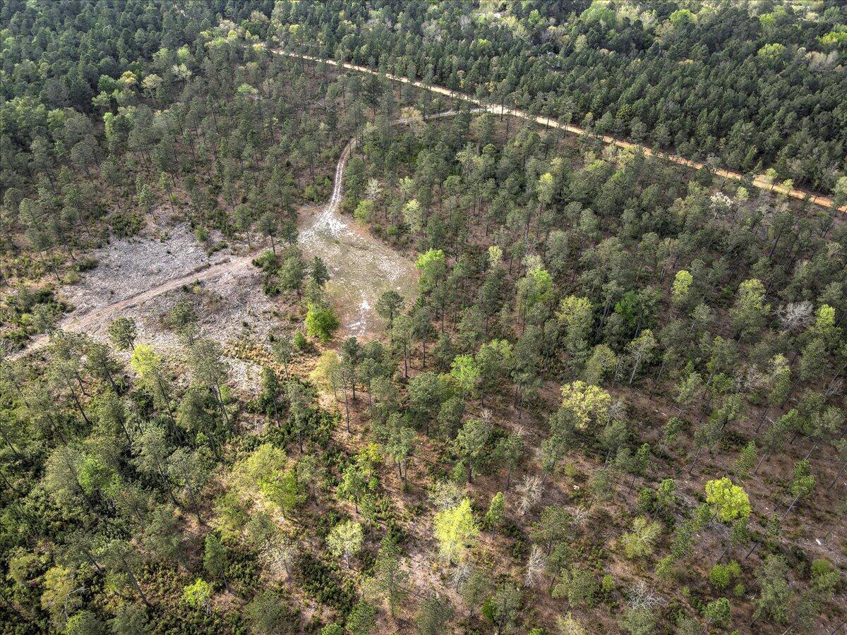 0 Deer Run Road, Unit E Williston, SC 29853 - Photo 15 of 15