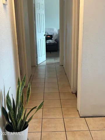 a hallway with potted plants in front of door