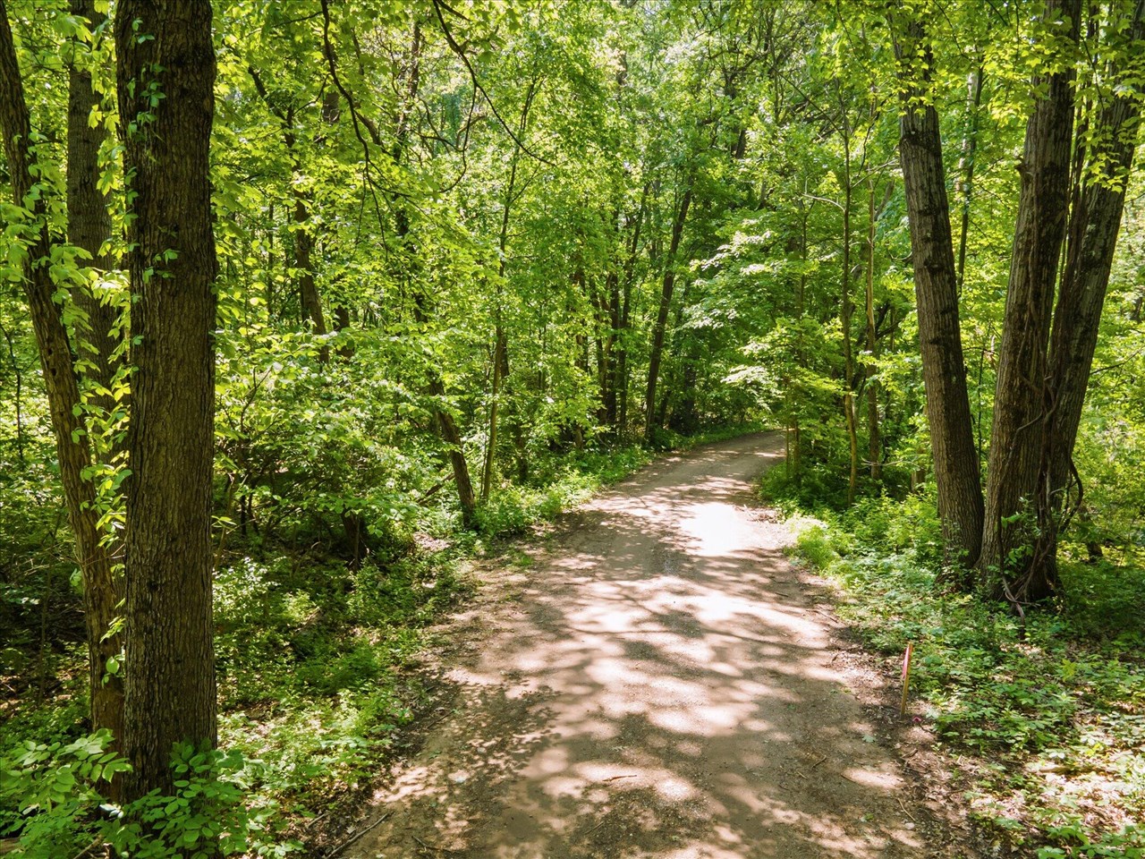 3226 14 Mile Parcel B Road Rockford, MI 49341 - Photo 10 of 12 Gallery Image 10