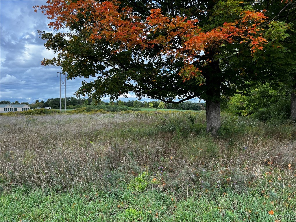 0 Nys Route 283 Watertown, NY 13601 - Photo 4 of 4