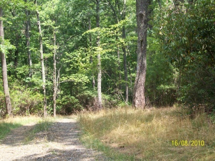 0 Countyline Church Road Southeast Floyd, VA 24091 - Photo 2 of 4 a view of outdoor space and trees