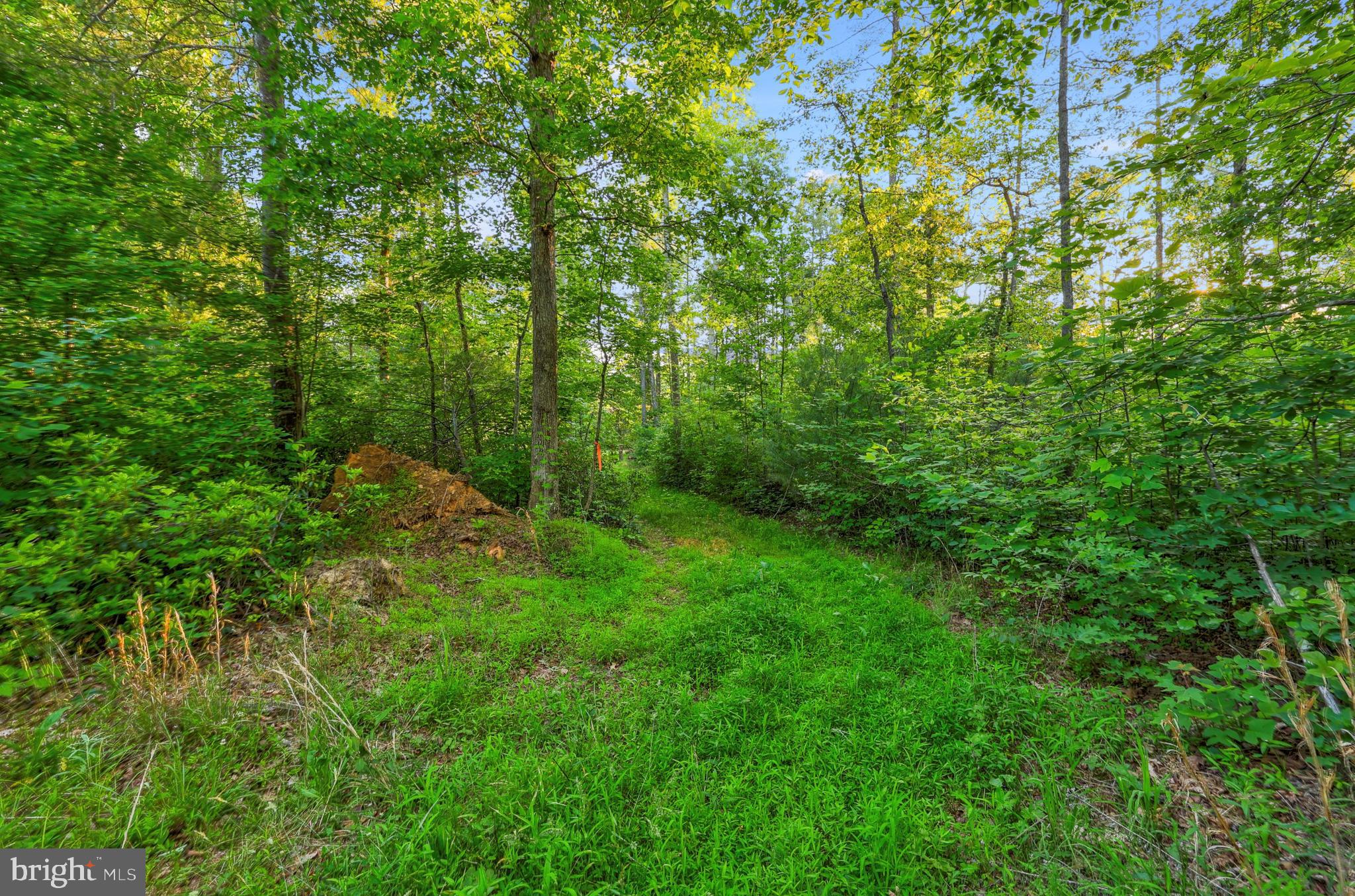 Lot 27-66b Kovi Ridge Trail Reva, VA 22735 - Photo 17 of 20