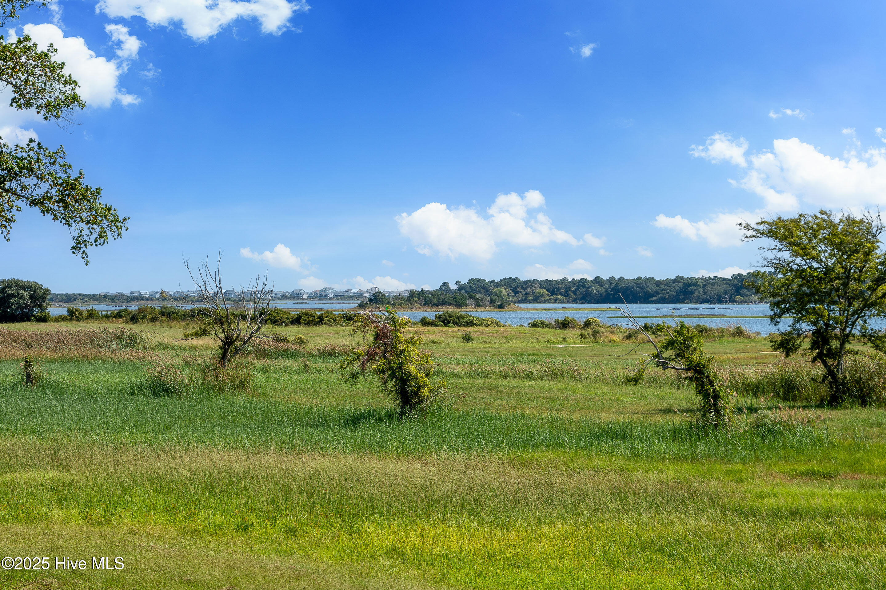 141 Bethea Street Holly Ridge, NC 28445 - Photo 56 of 59 Lot 31 MLS-15