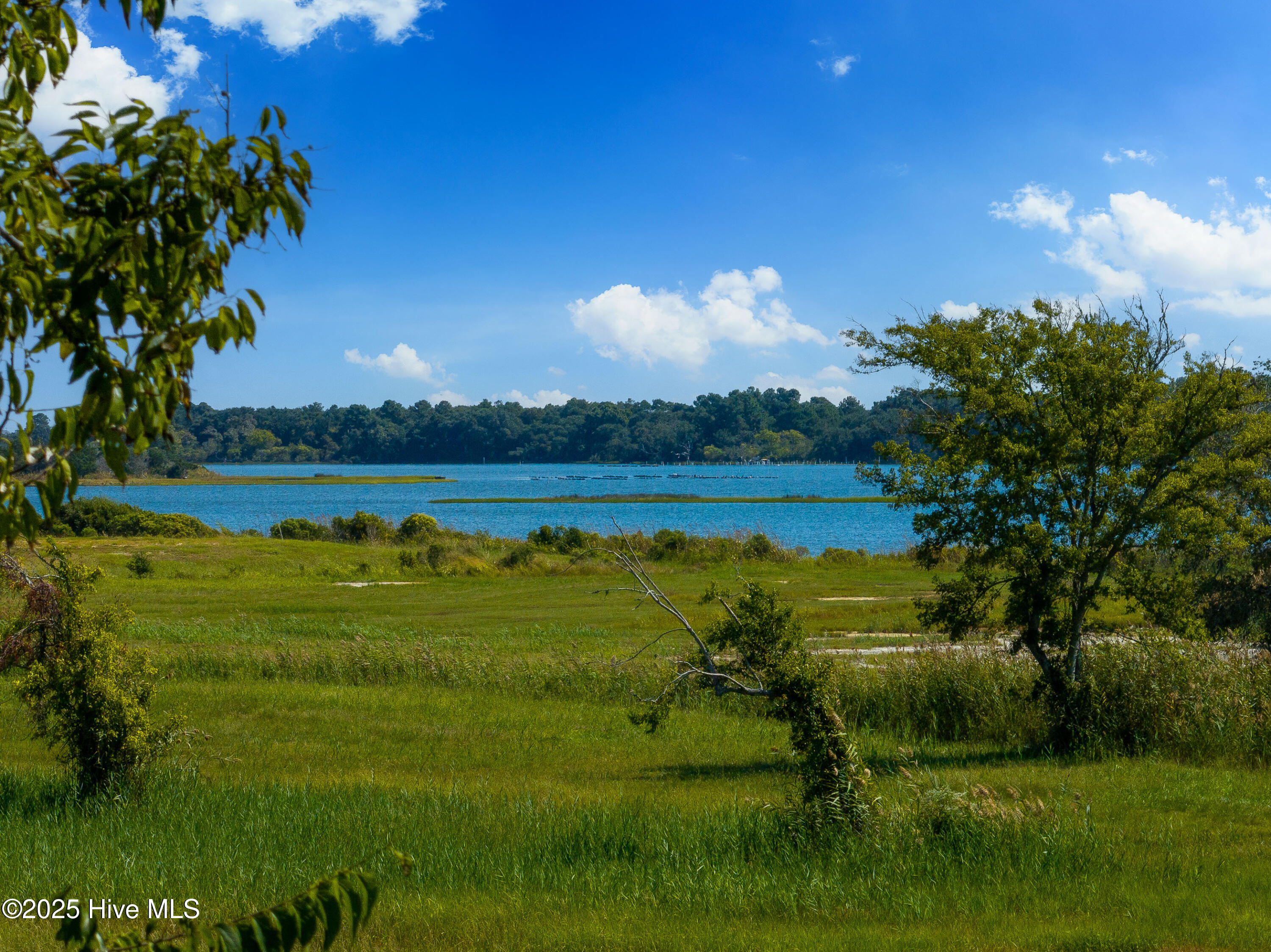 141 Bethea Street Holly Ridge, NC 28445 - Photo 57 of 59 Lot 31 MLS-13