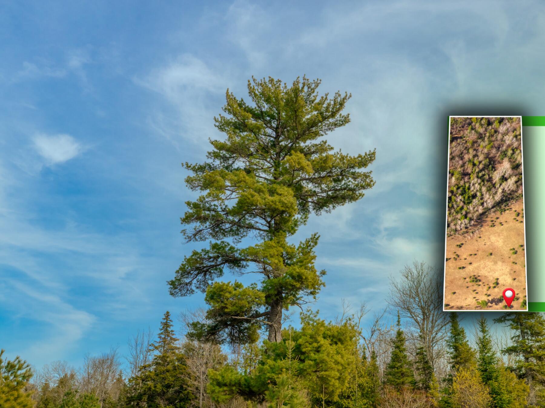 7 Horoscope Road Pelkie, MI 49958 - Photo 4 of 11 4