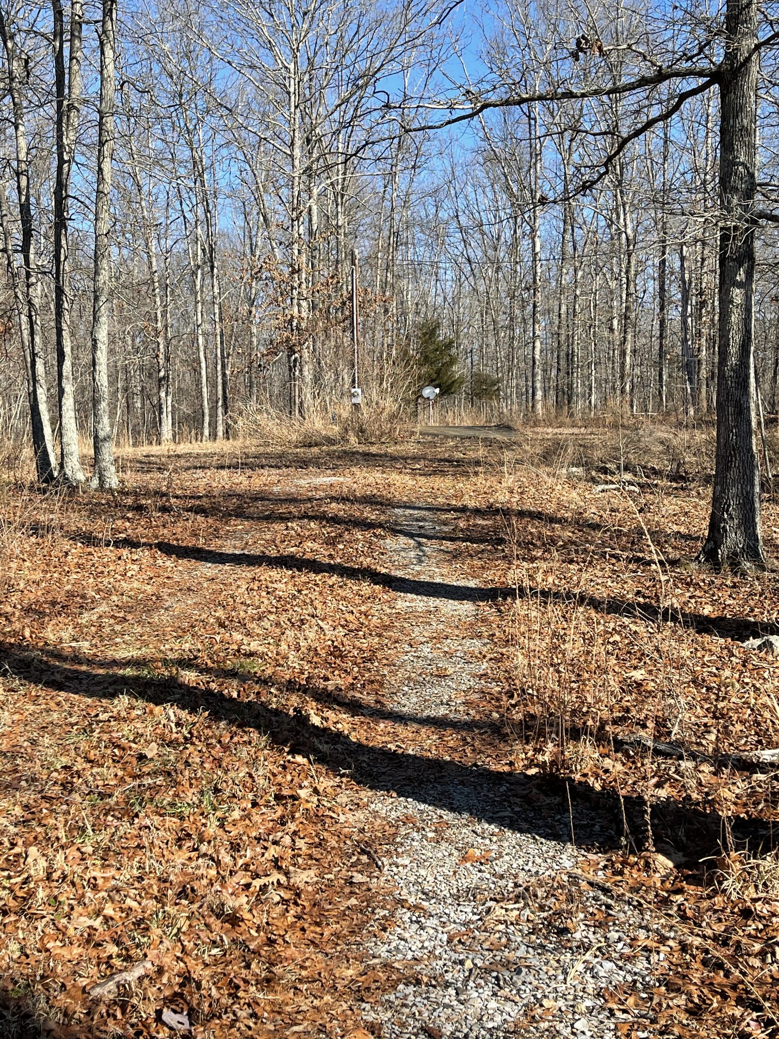 0 Pinewood Meadows Road Nunnelly, TN 37137 - Photo 1 of 3 Gallery Image 1