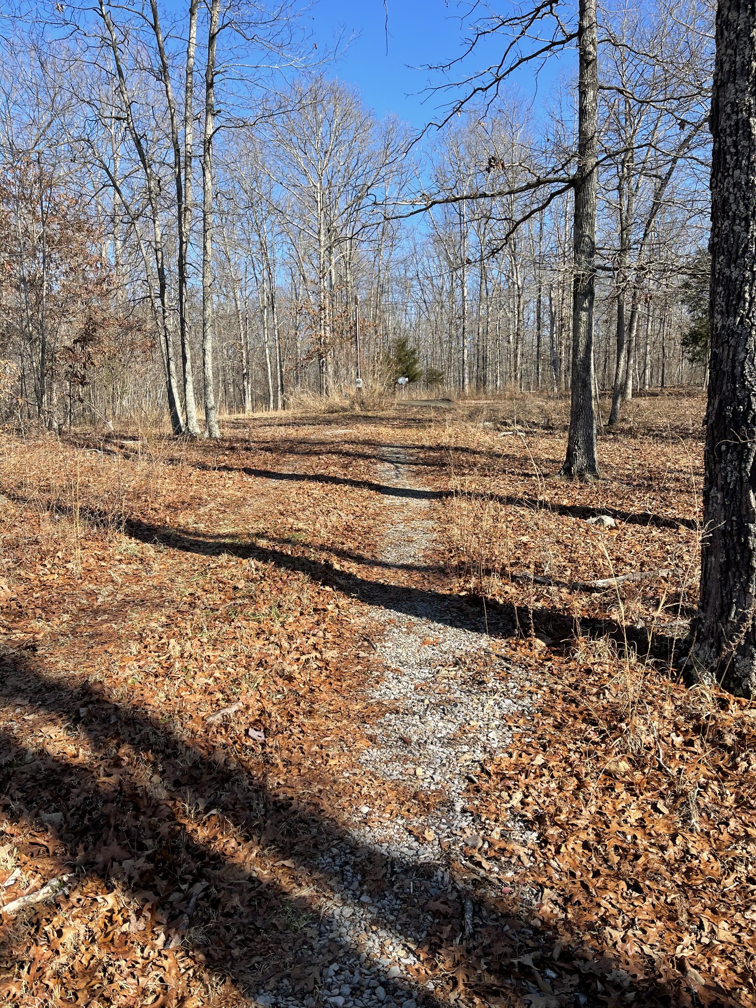 0 Pinewood Meadows Road Nunnelly, TN 37137 - Photo 3 of 3 Gallery Image 3