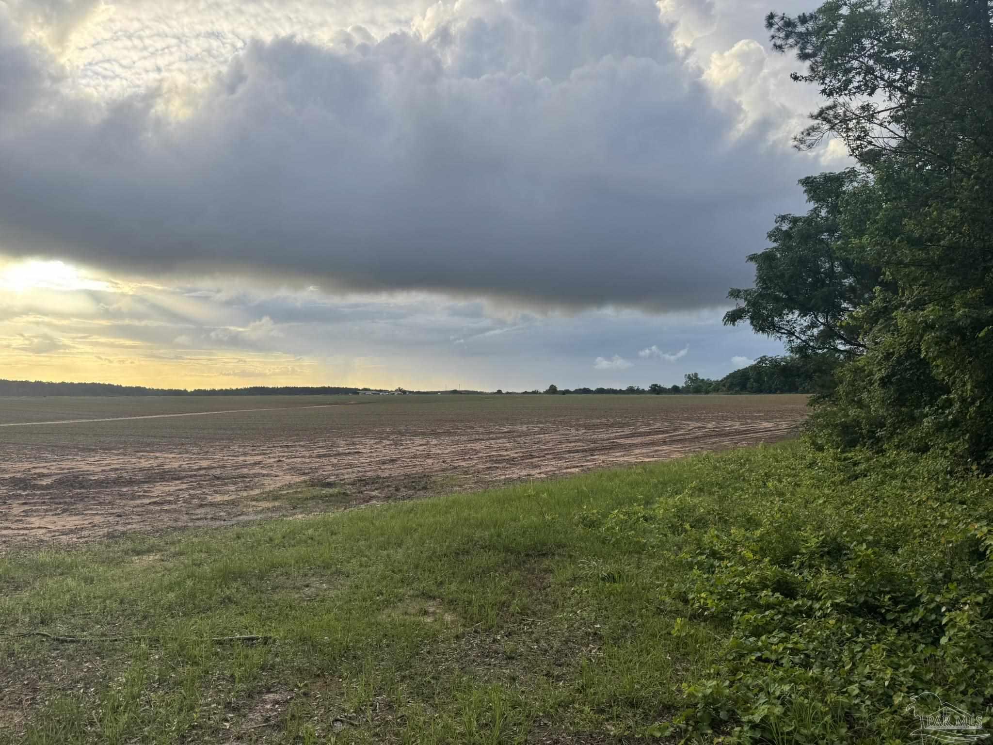 0 Old Stage Road Repton, AL 36475 - Photo 9 of 27