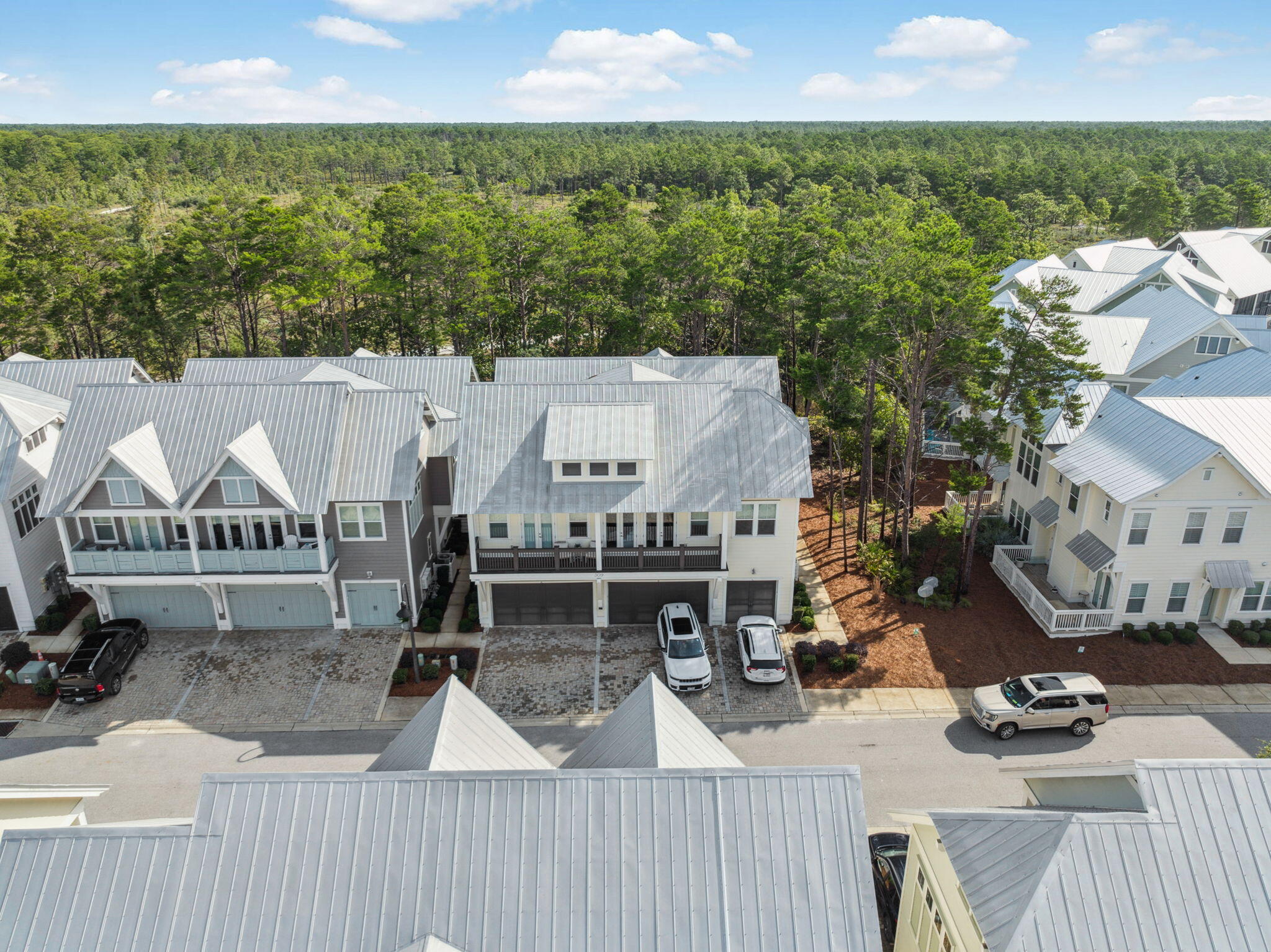 309 Milestone Dr Inlet Beach, Unit A Inlet Beach, FL 32461 - Photo 36 of 54 an aerial view of a house