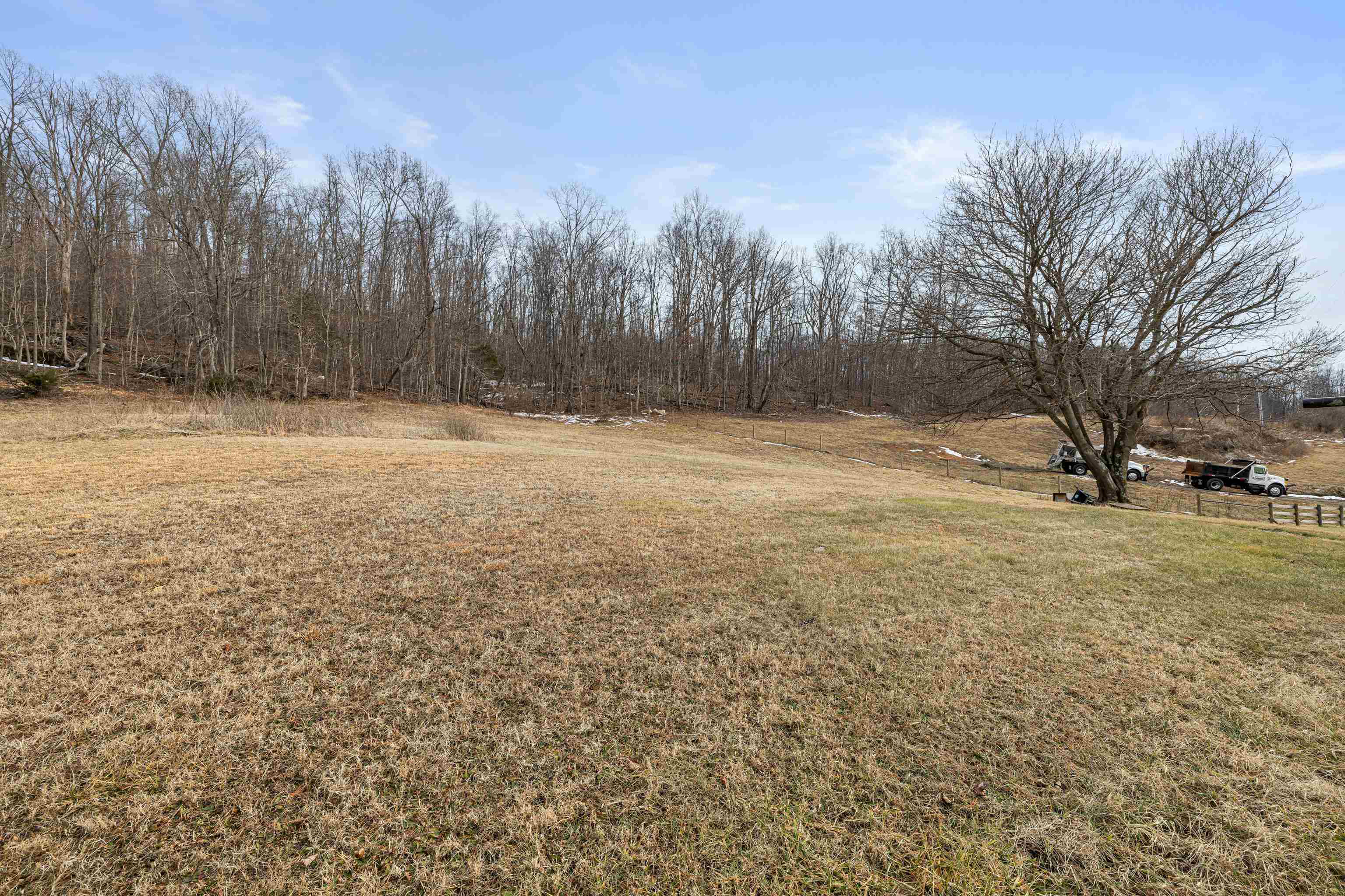 394 Ridge Road Raphine, VA 24472 - Photo 34 of 46 a view of empty yard with trees