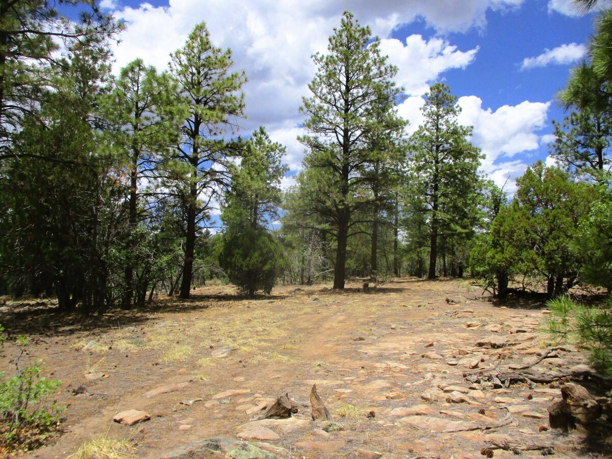 157 Forest Road Ramah, NM 87321 - Photo 43 of 71 Gallery Image 43