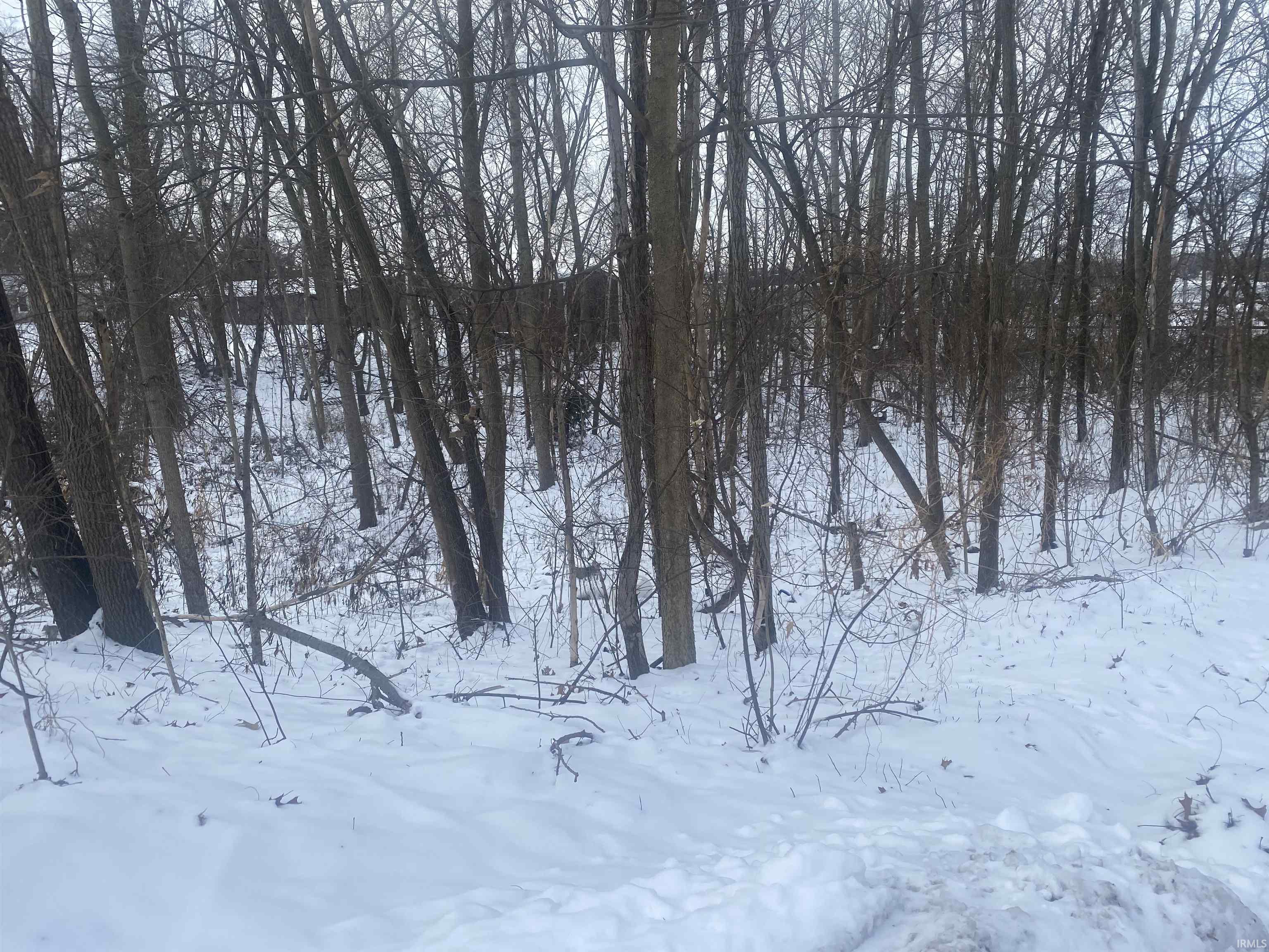 Tbd Tbd Park Warsaw, IN 46580 - Photo 4 of 4