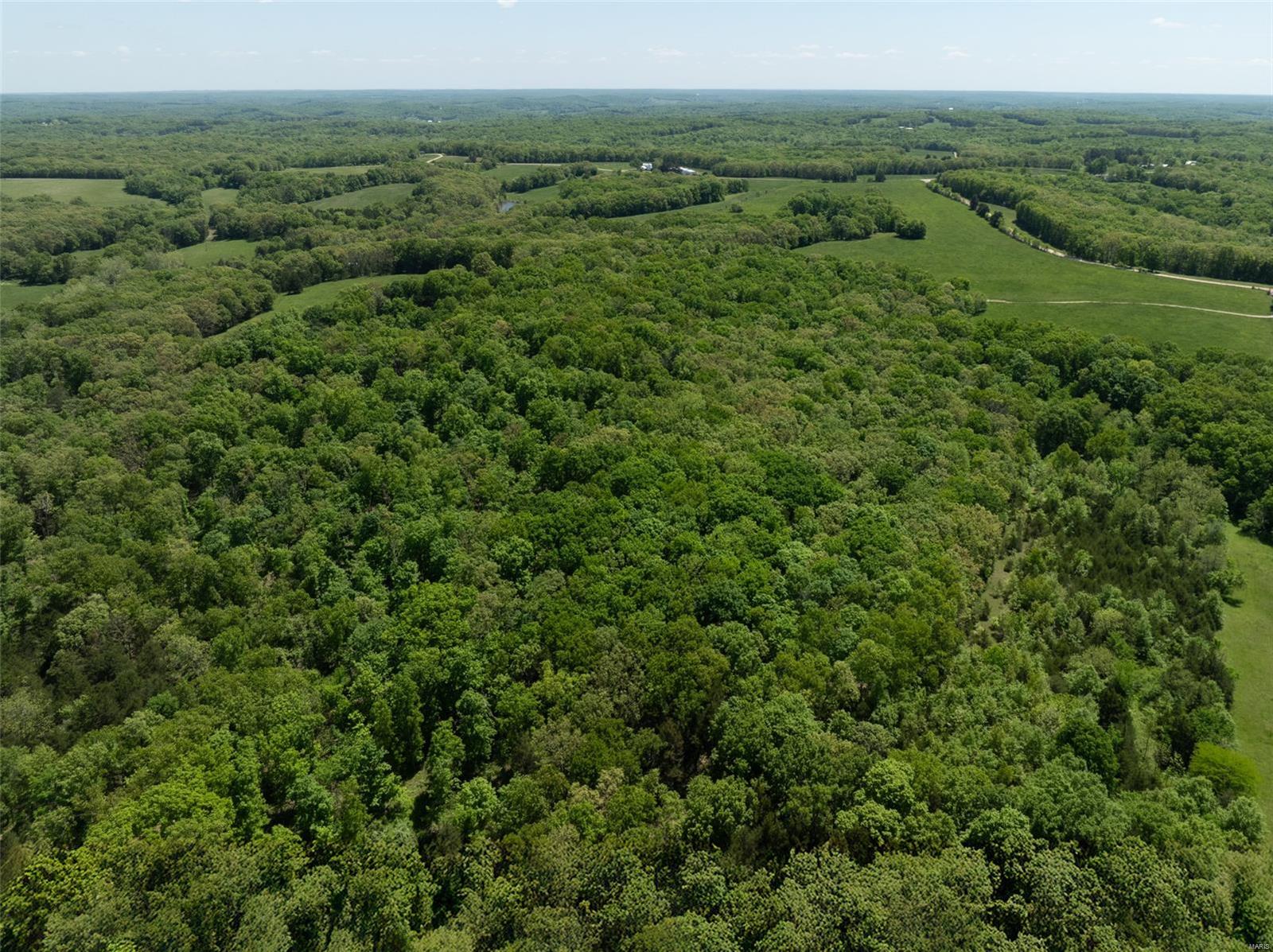 0 21.58 Ac Tract Road New Haven, MO 63068 - Photo 6 of 11