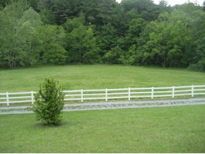 6981 Lone Star Road Kingsport, TN 37660 - Photo 23 of 24 Beautiful Pasture