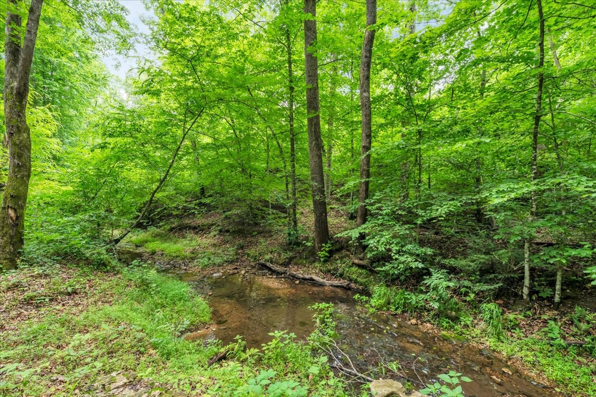 488 Prater Road Smithville, TN 37166 - Photo 42 of 56