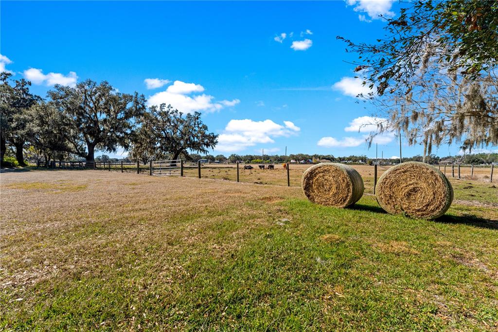 9504 Fort King Road Dade City, FL 33525 - Photo 42 of 51 a view of a field with an ocean