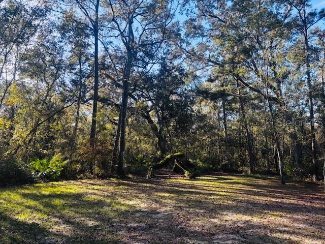 3351 Rackley Road Brooksville, FL 34604 - Photo 48 of 52