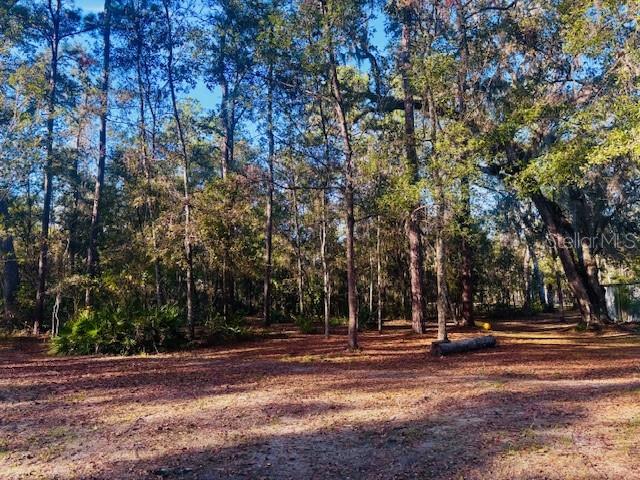 3351 Rackley Road Brooksville, FL 34604 - Photo 52 of 56