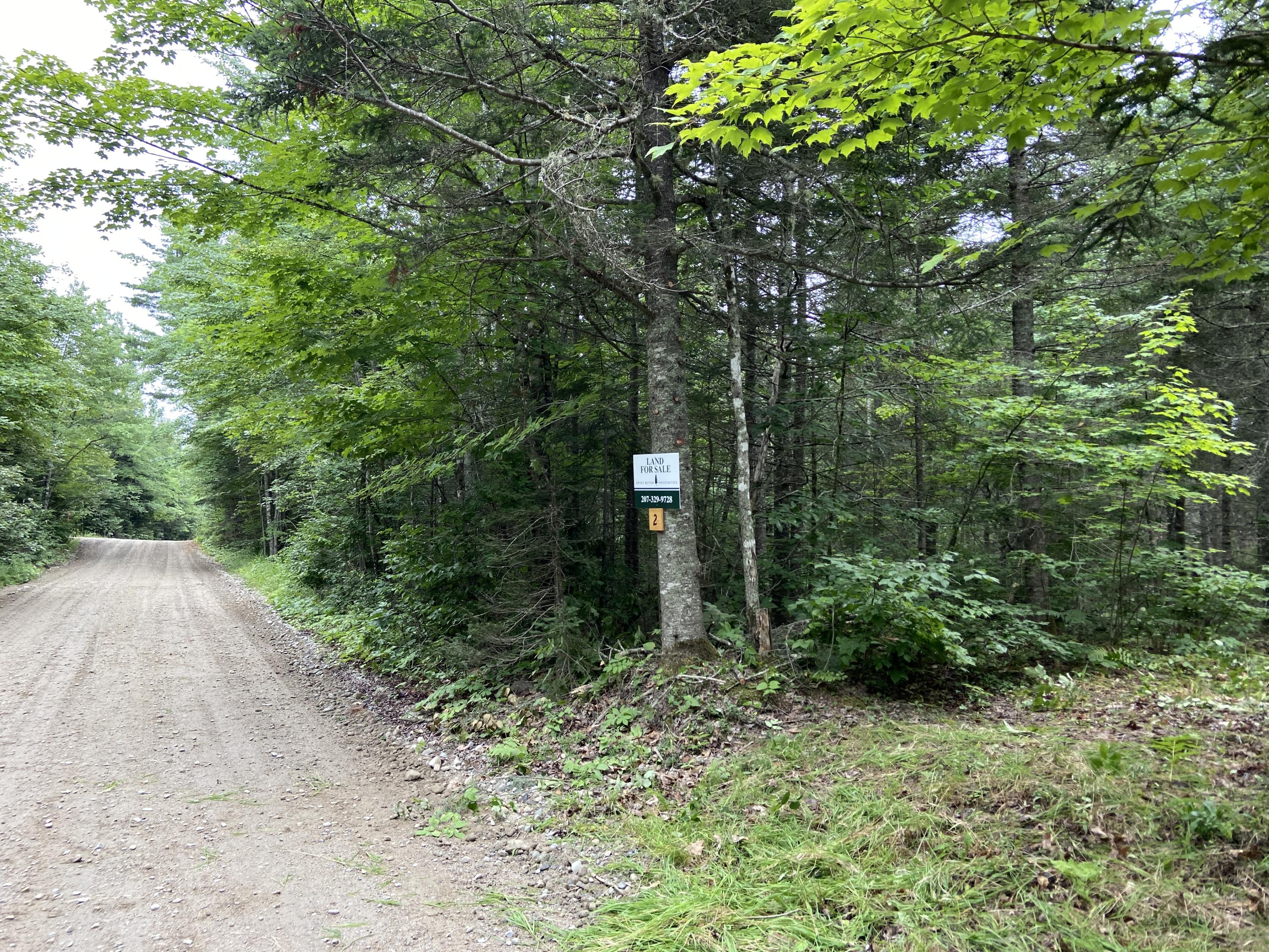 Lot 2 Georgetown Woods Road Columbia Falls, ME 04623 - Photo 5 of 10 4635046A-7613-4426-998E-22591DFEA35B