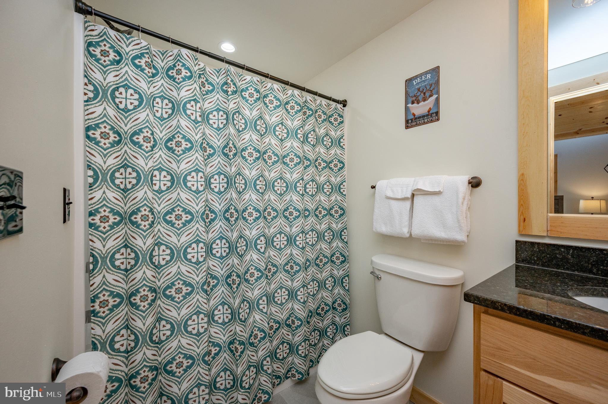 985 North Camp Road McHenry, MD 21541 - Photo 39 of 70