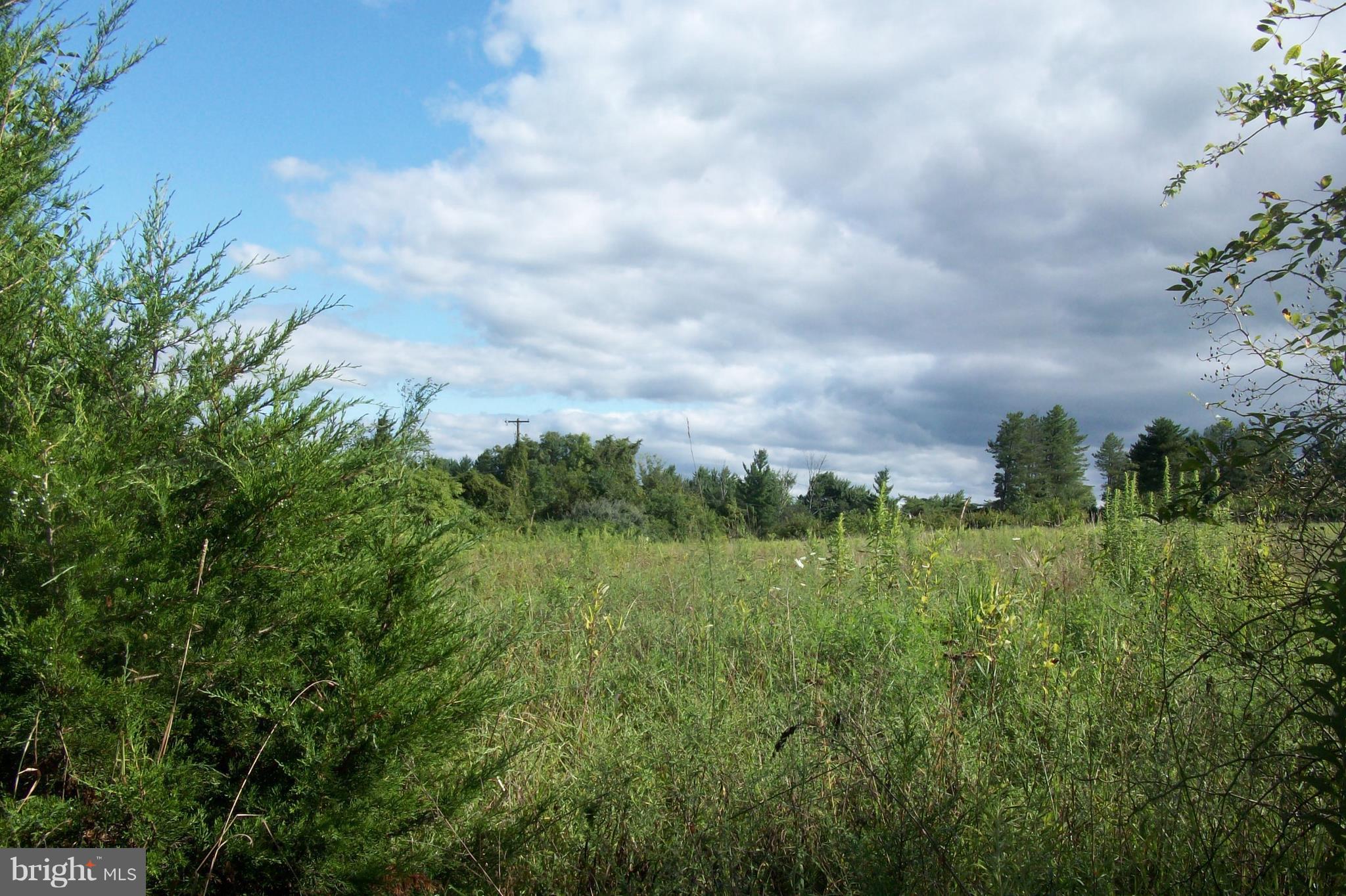 3031 Menges Mill Road Taneytown, MD 21787 - Photo 25 of 30 Meadows for farming.