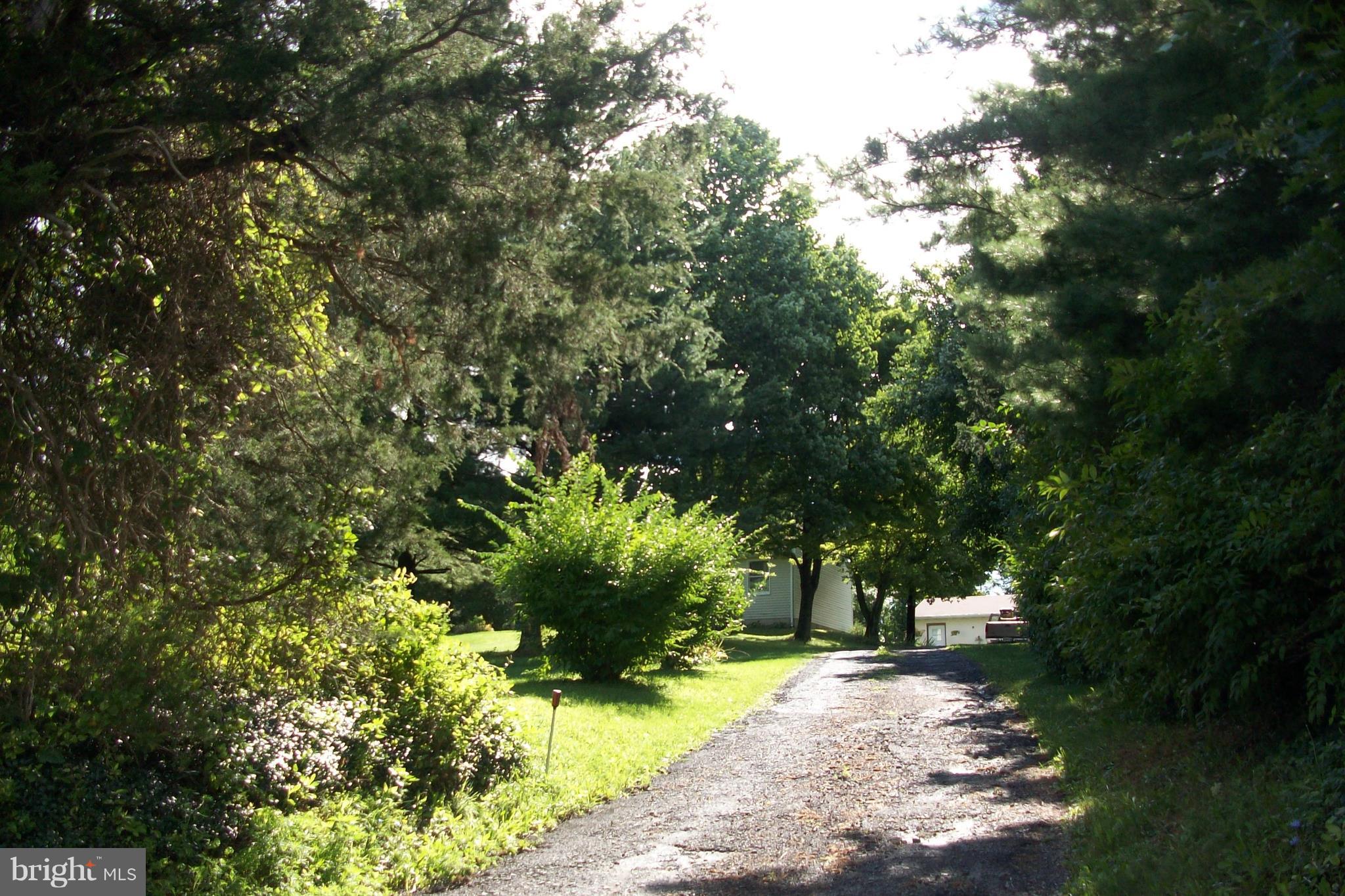 3031 Menges Mill Road Taneytown, MD 21787 - Photo 26 of 30 Driveway to home.
