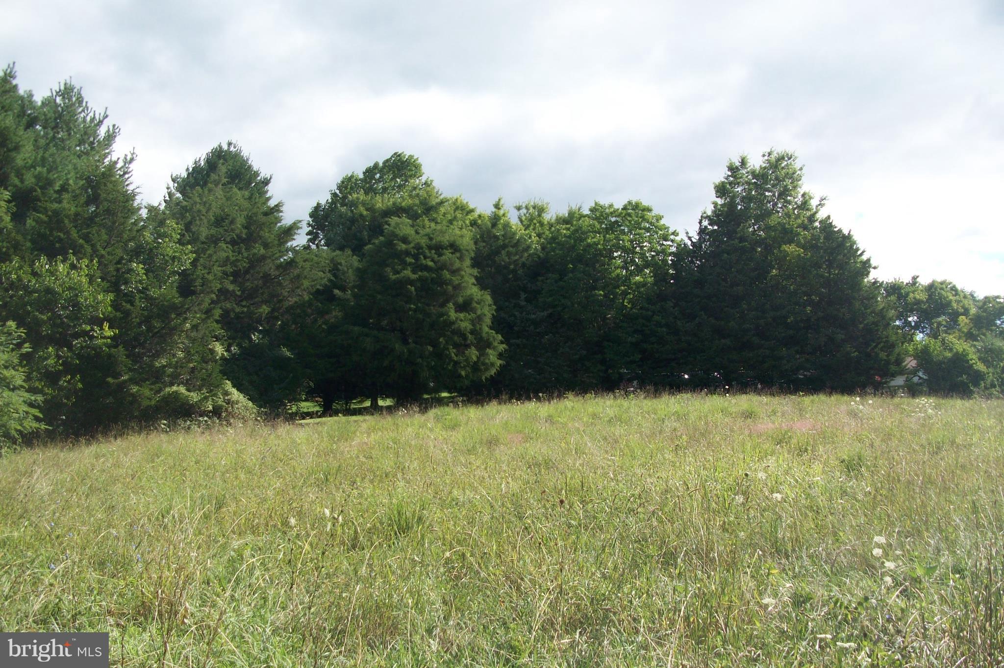 3031 Menges Mill Road Taneytown, MD 21787 - Photo 27 of 30 Tree lined field.