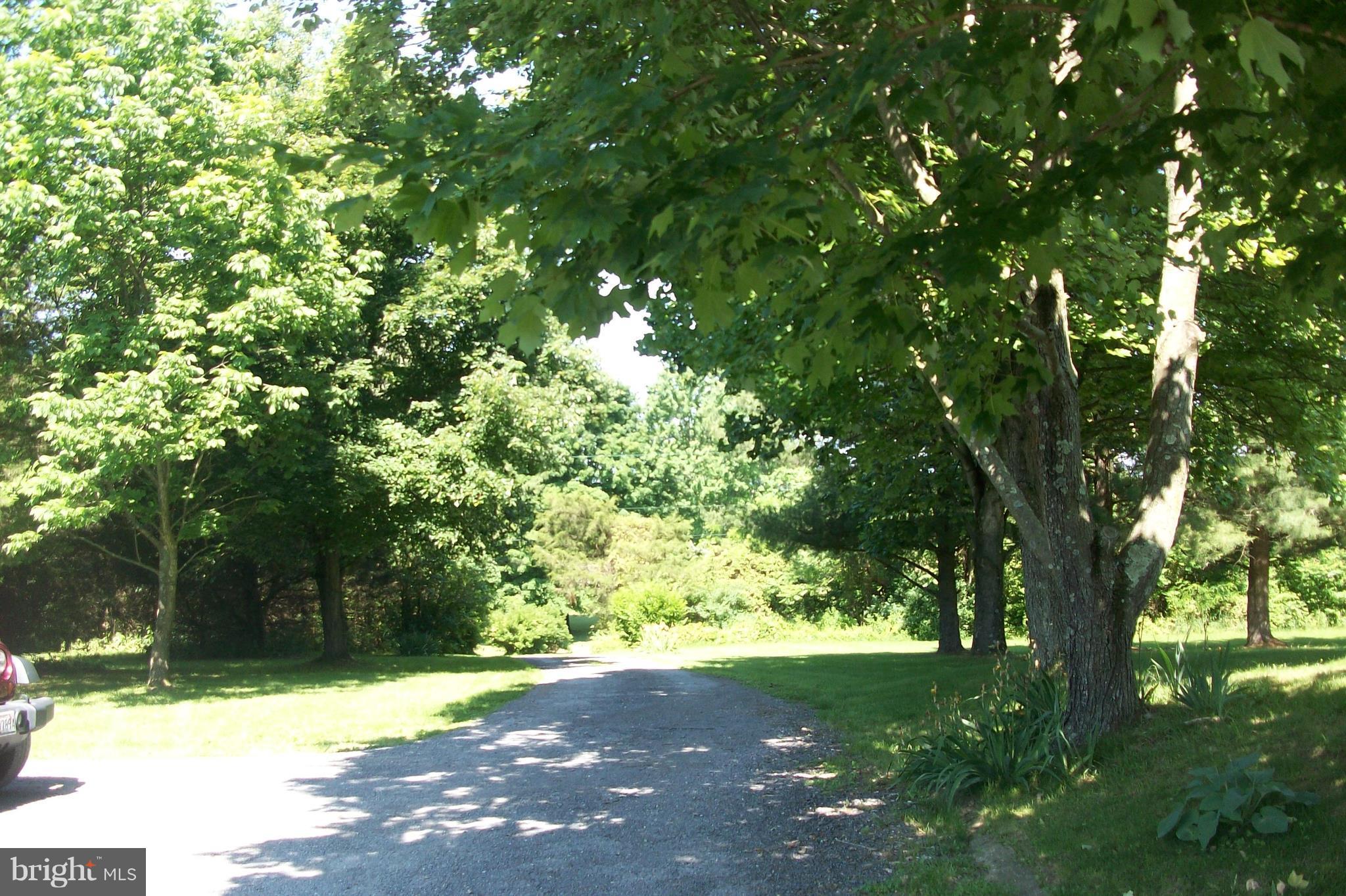 3031 Menges Mill Road Taneytown, MD 21787 - Photo 5 of 30 Driveway to property