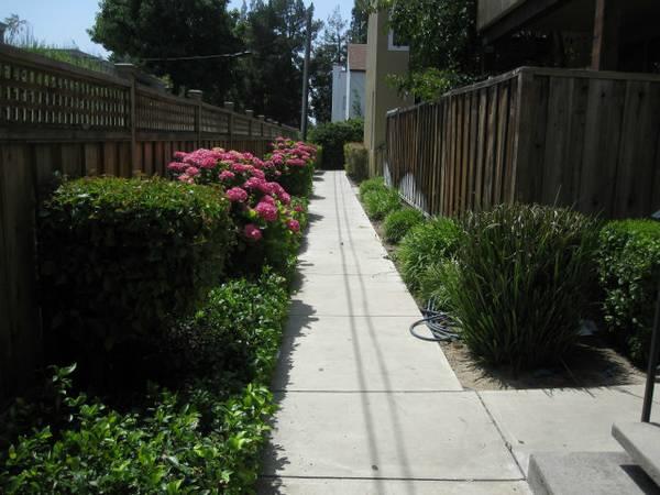 2006 Klamath Avenue, Unit 2 Santa Clara, CA 95051 - Photo 2 of 13 a view of flower garden with wooden fence