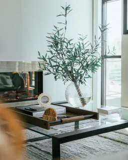 $1,249,000 | 1281 # 2 E Main Street, Blue Ridge, GA 30513